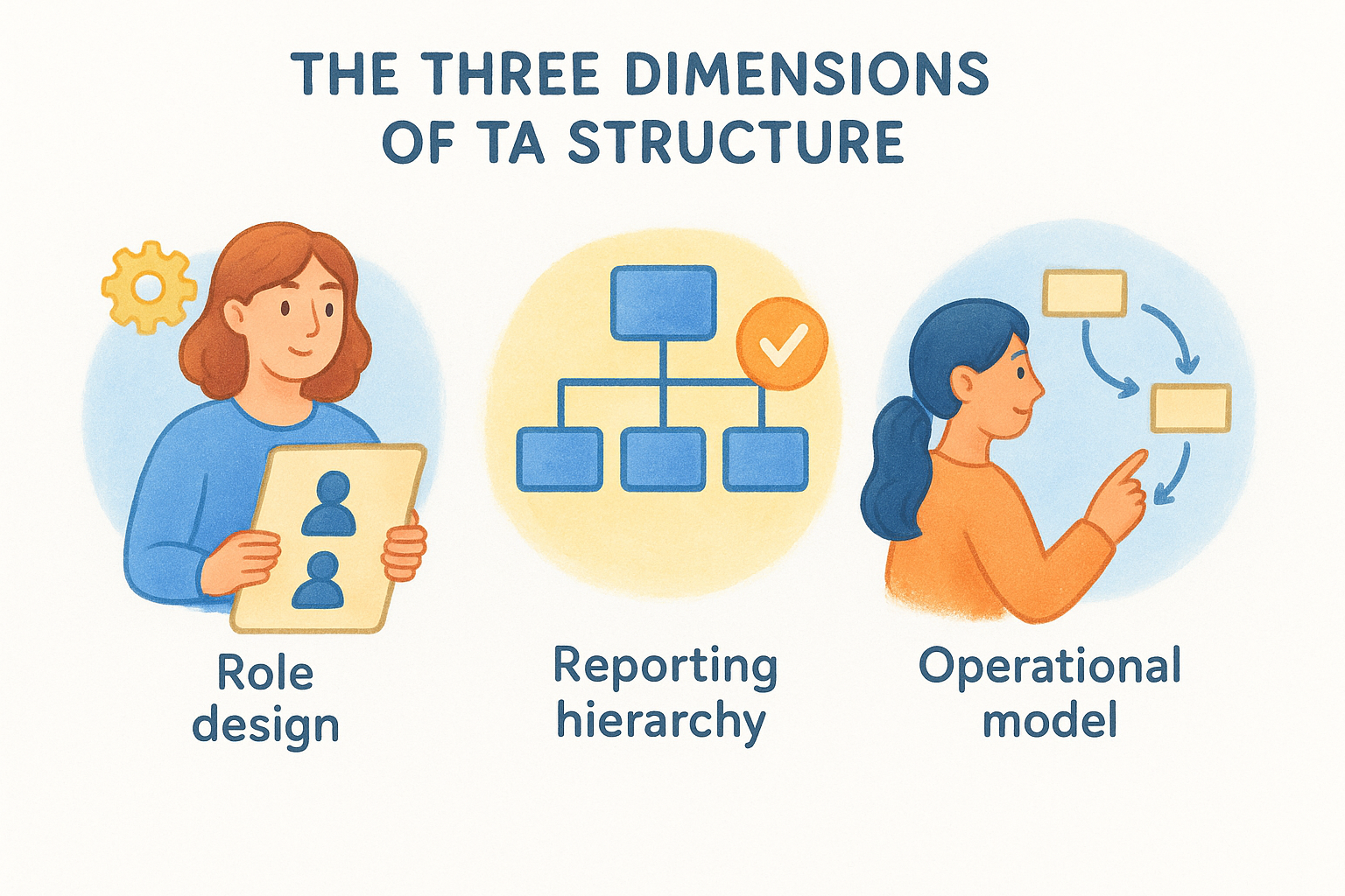 The three dimensions of TA structure