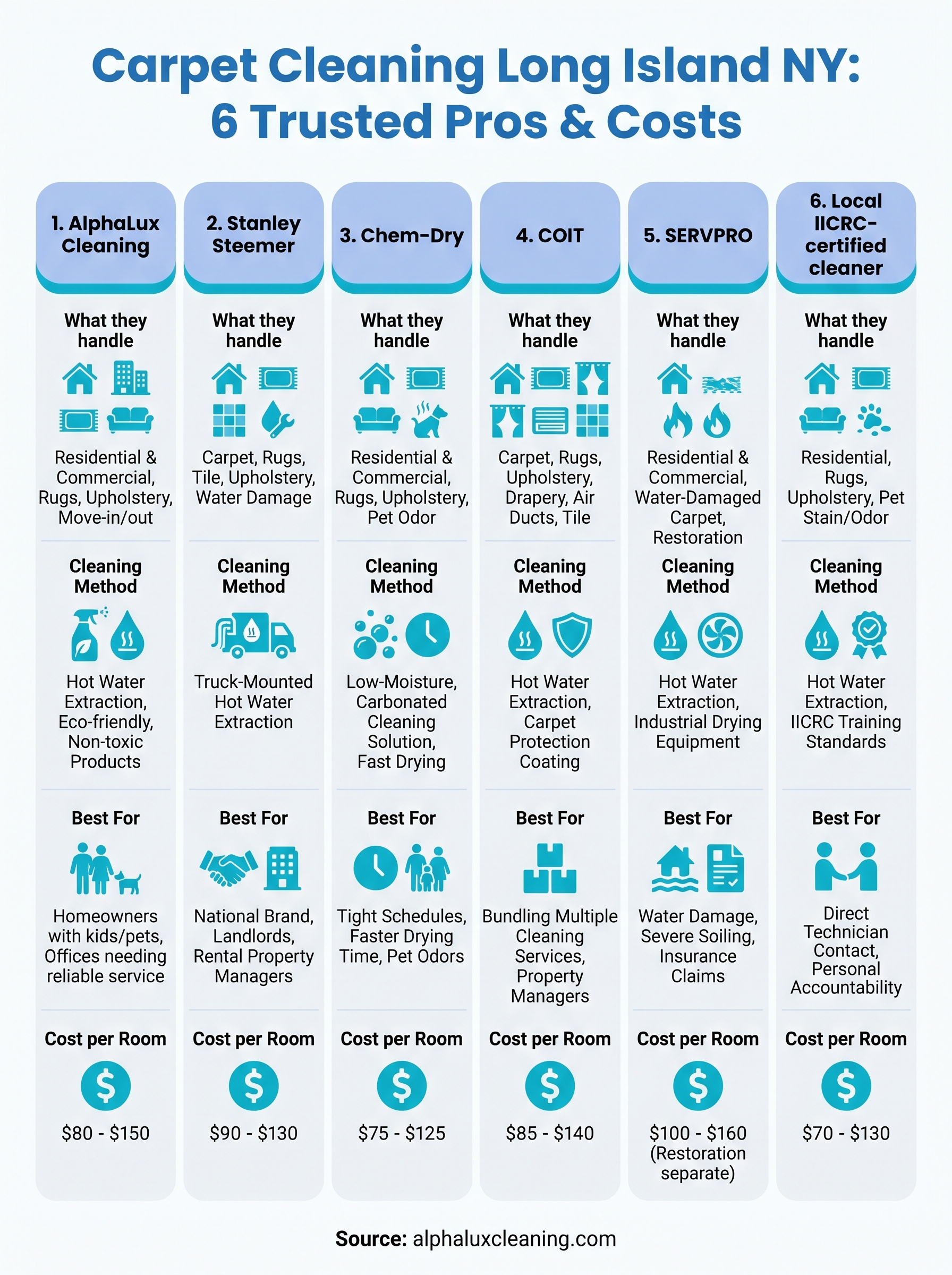 carpet cleaning long island ny infographic