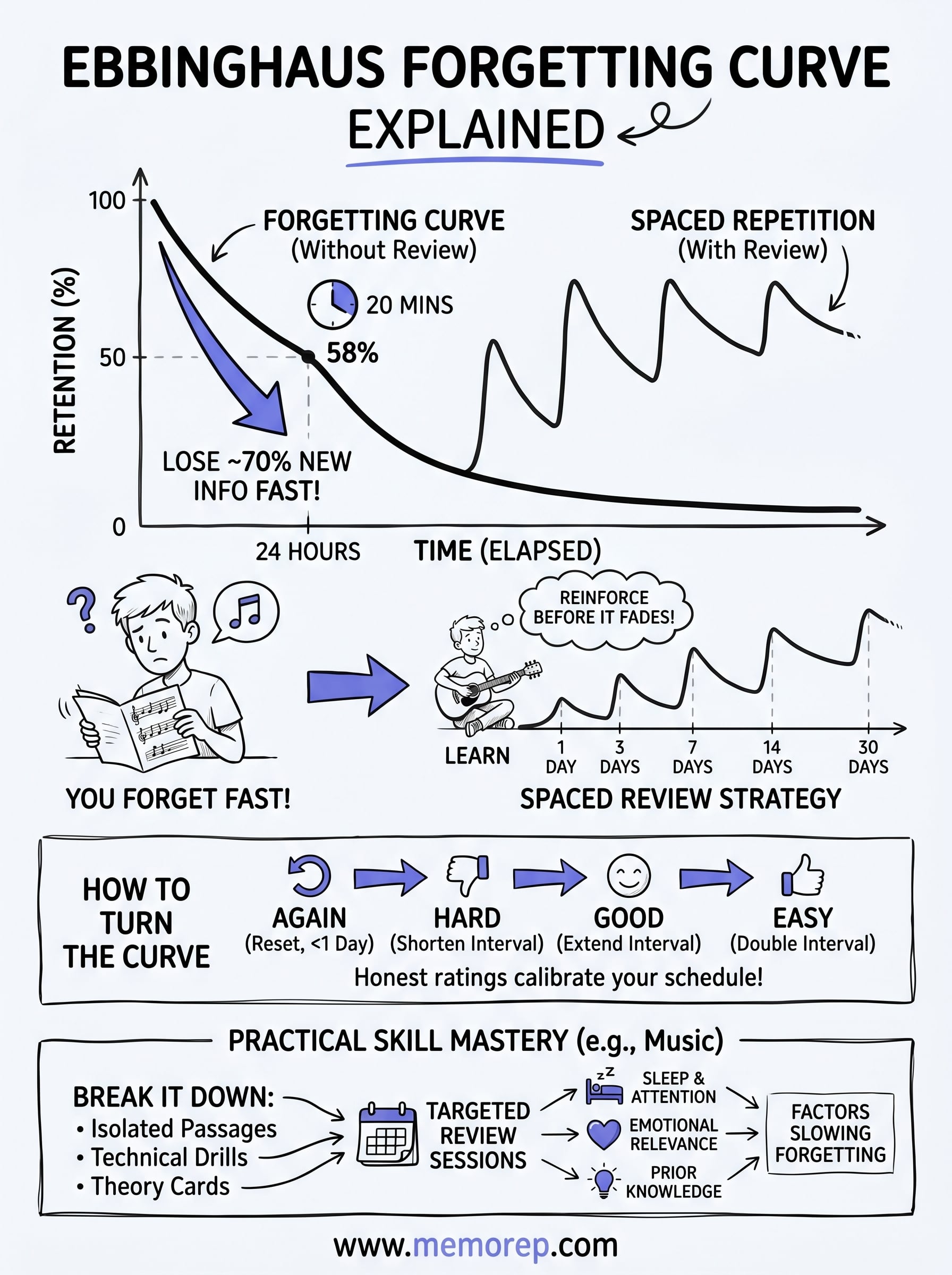 ebbinghaus forgetting curve explained infographic