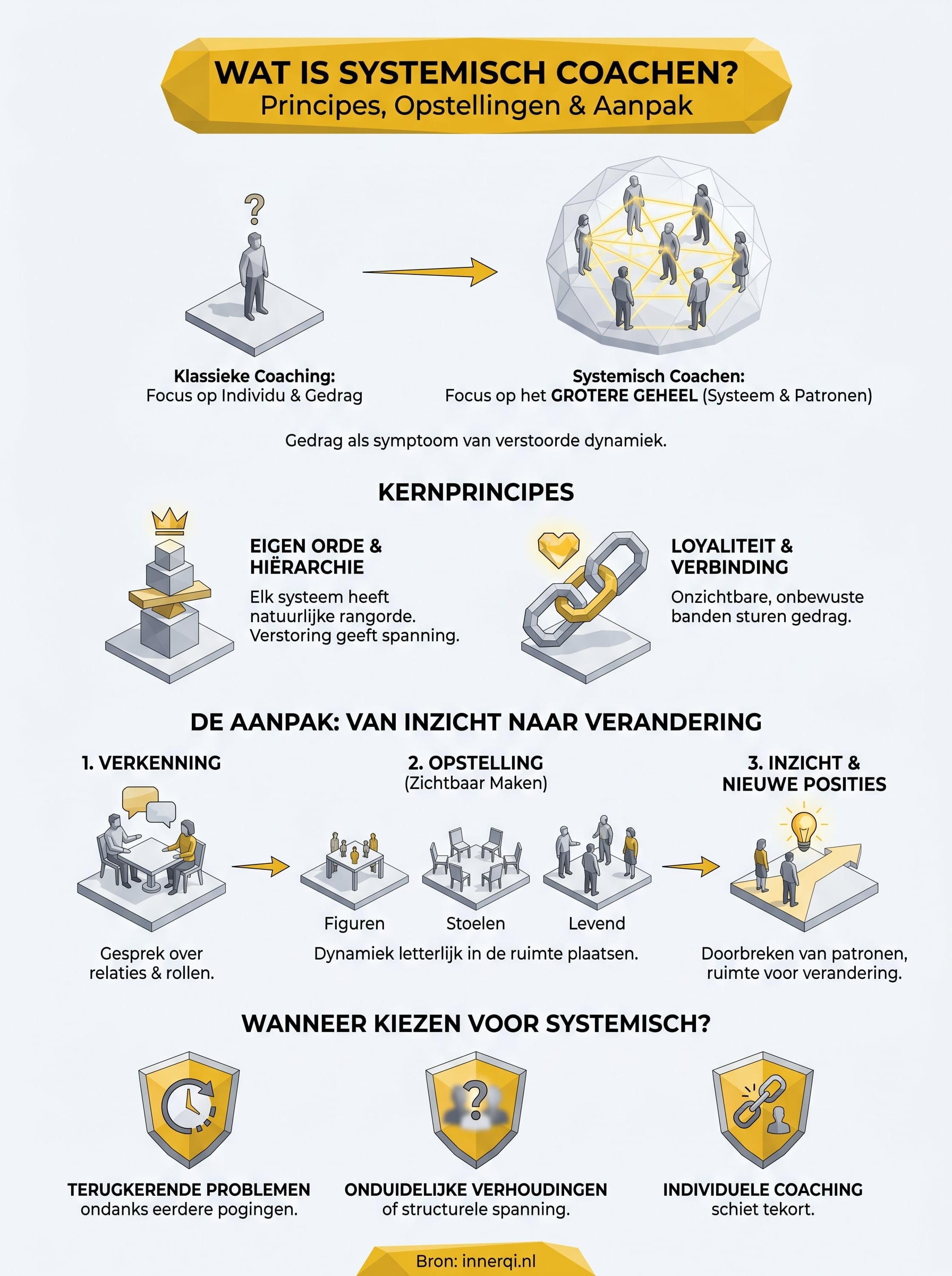 wat is systemisch coachen infographic