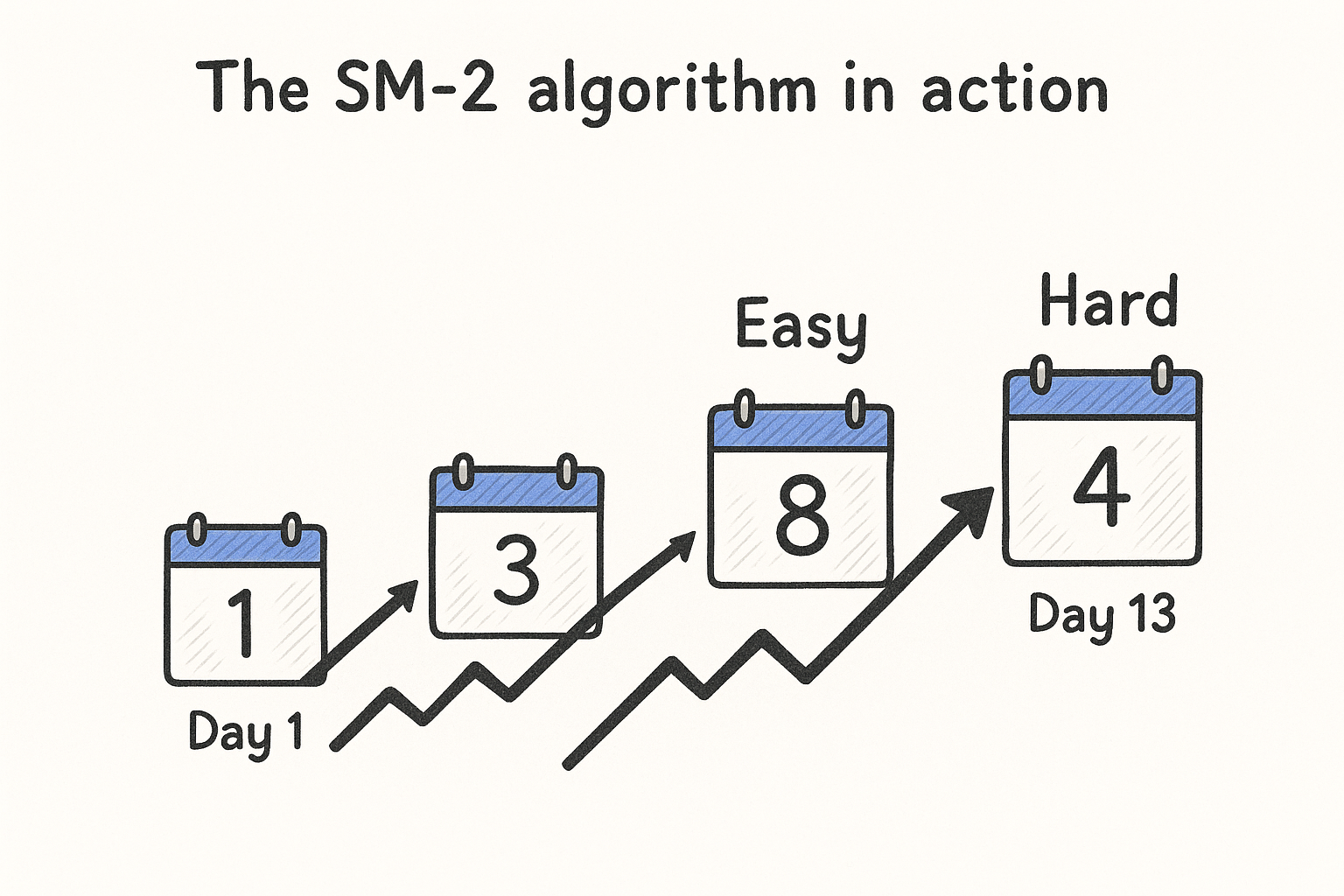 The SM-2 algorithm in action