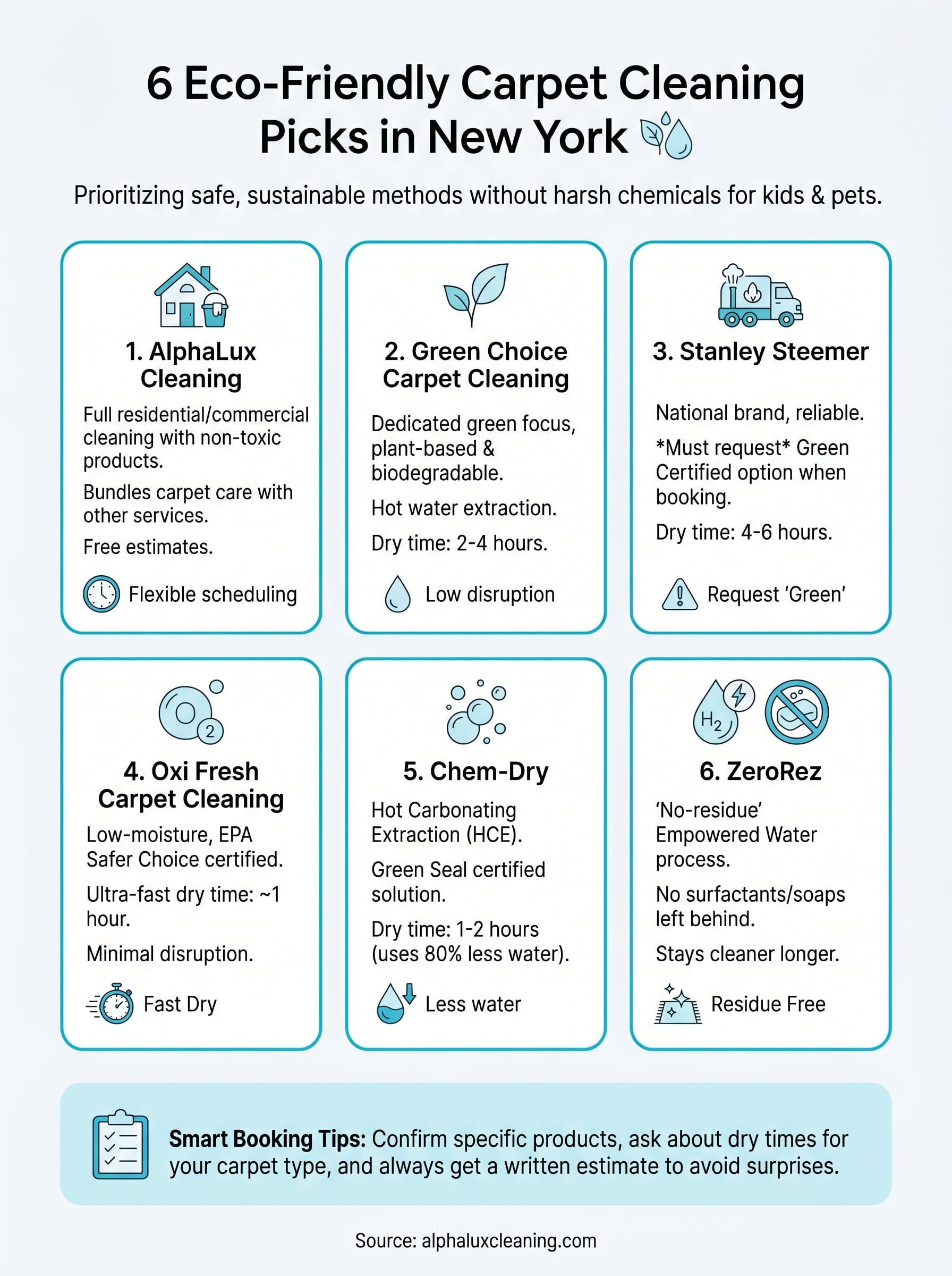 eco friendly carpet cleaning service infographic