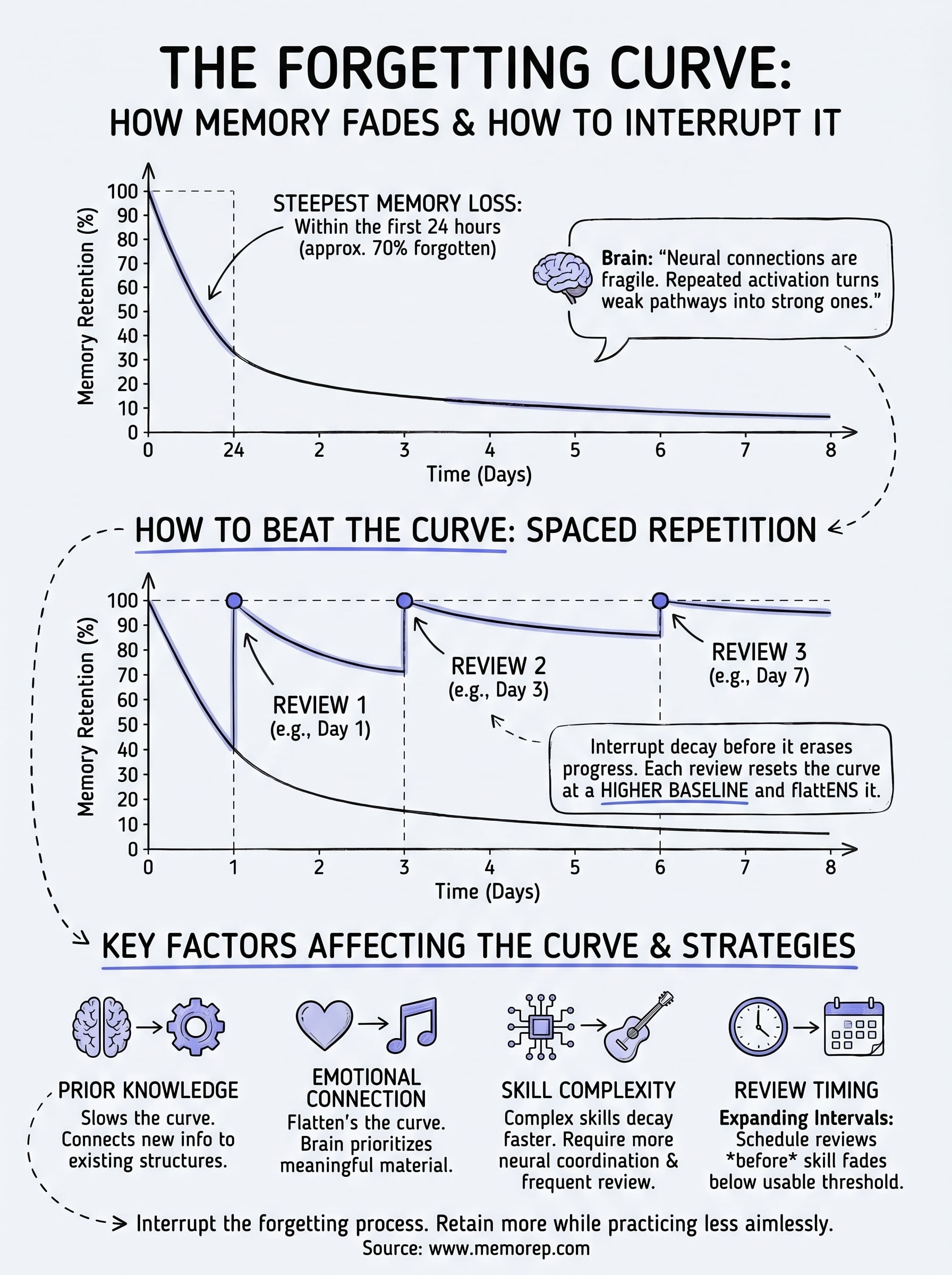 what is the forgetting curve infographic