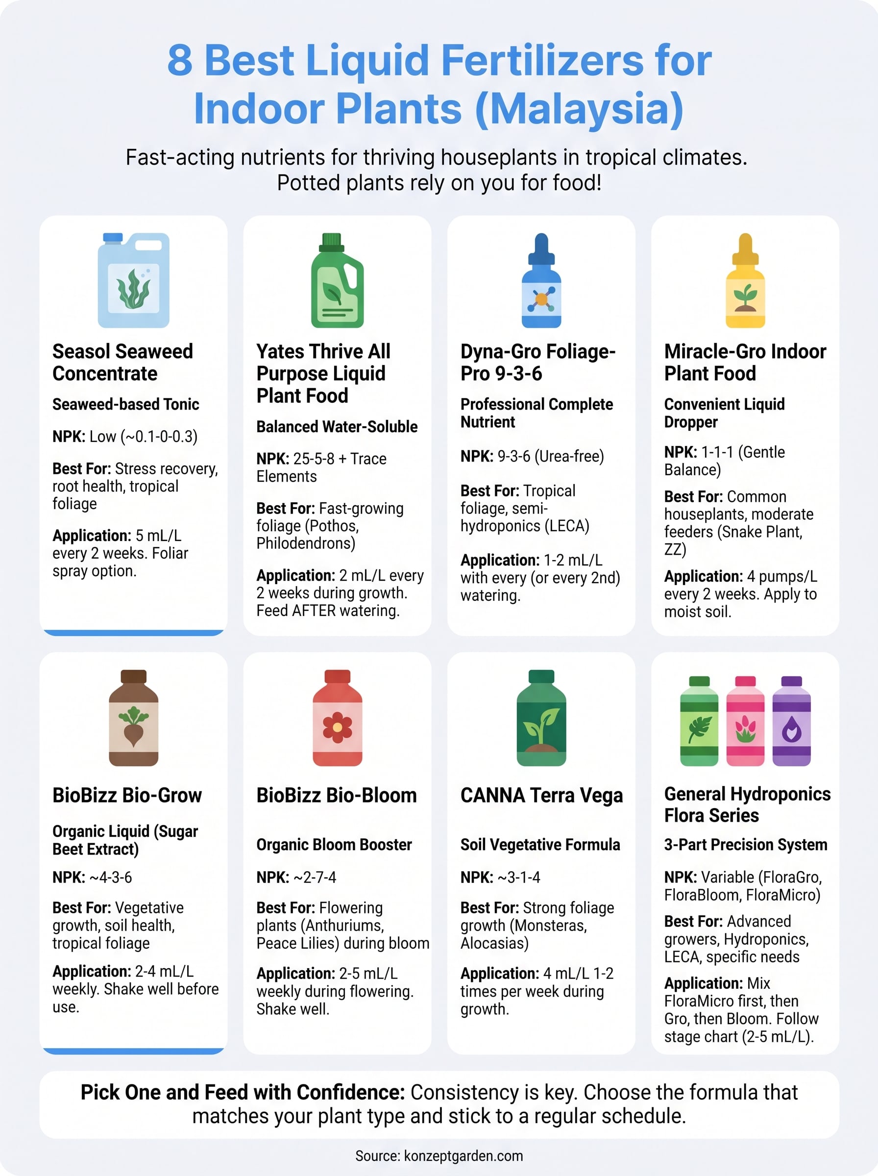 liquid fertilizer for indoor plants infographic