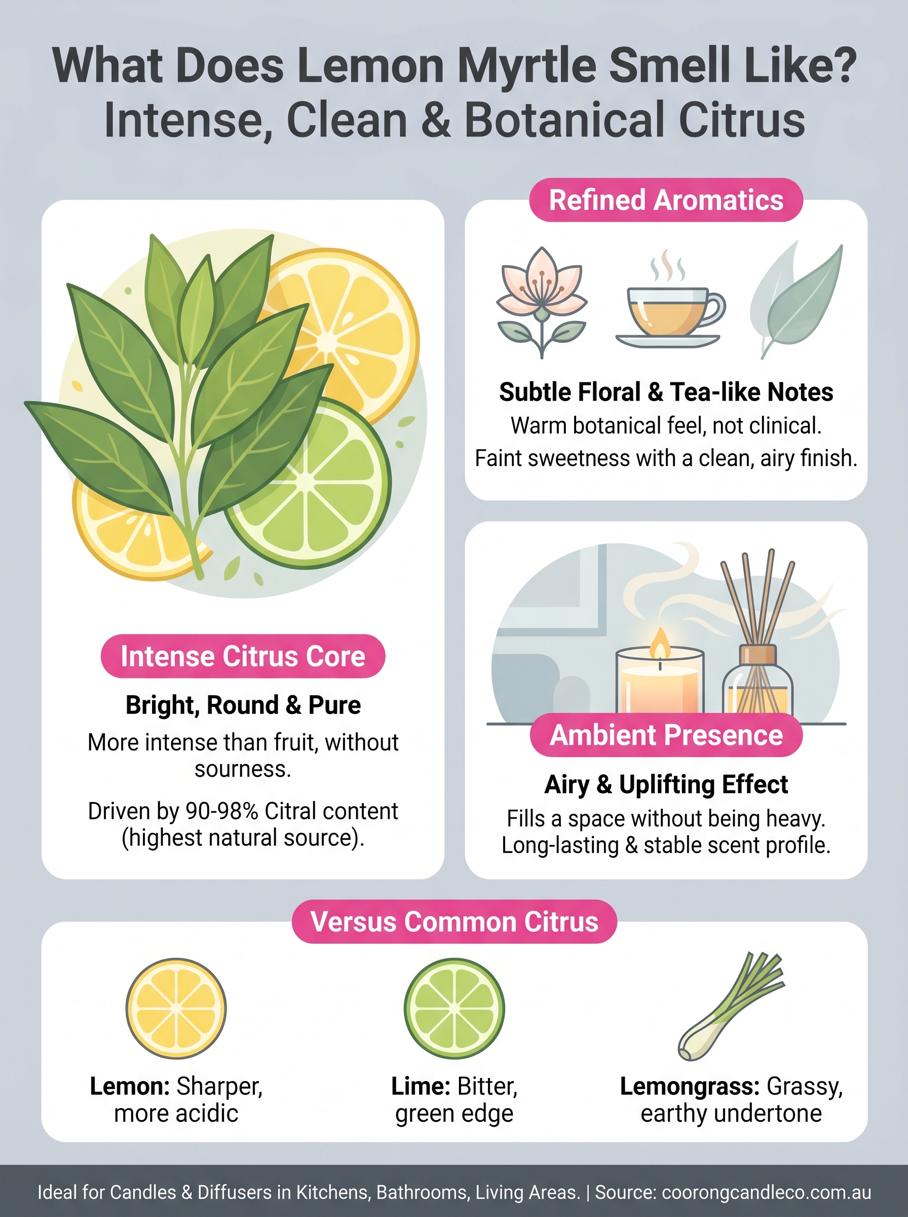 what does lemon myrtle smell like infographic