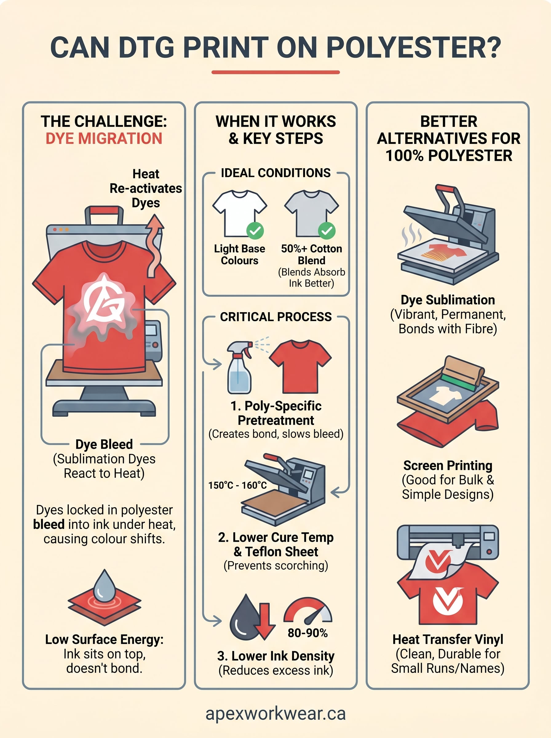 can dtg print on polyester infographic