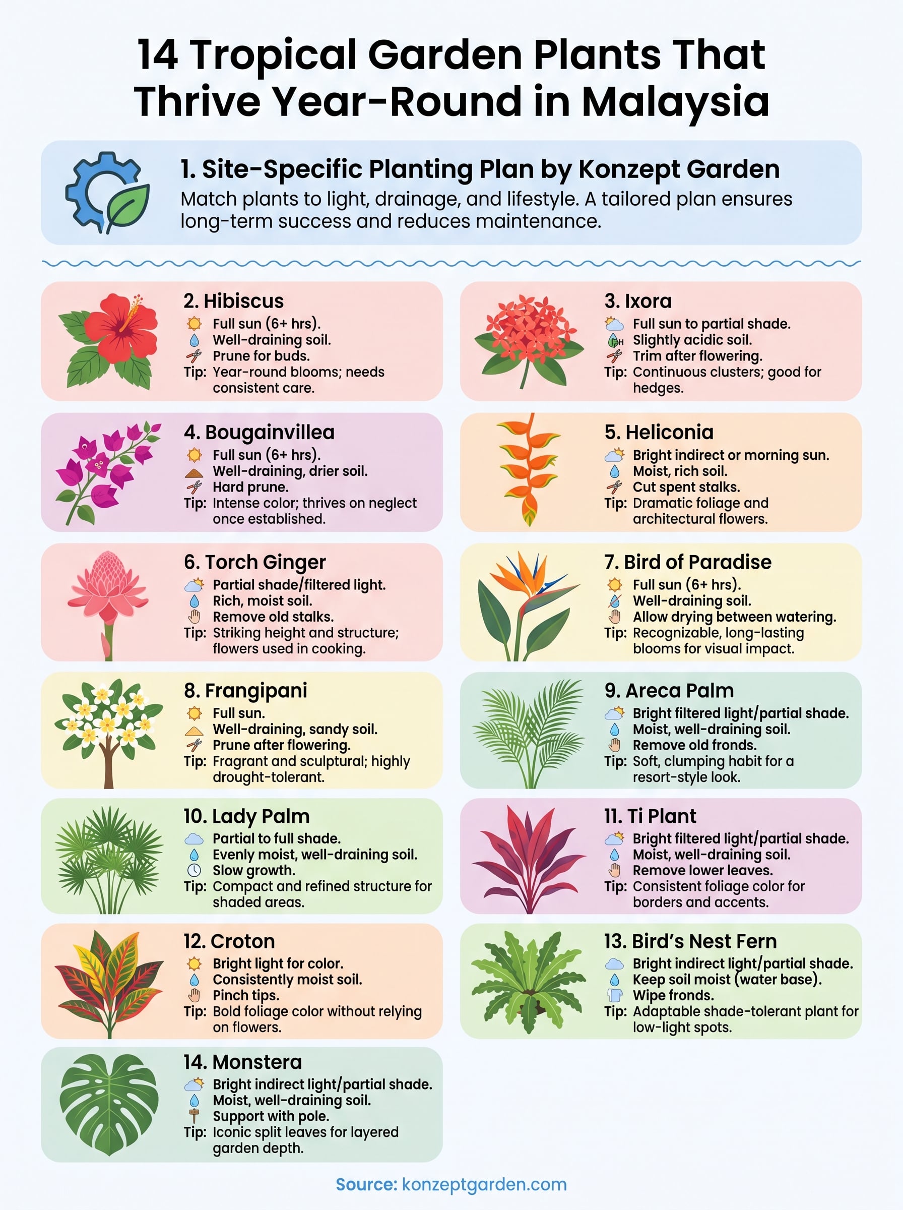 tropical garden plants malaysia infographic