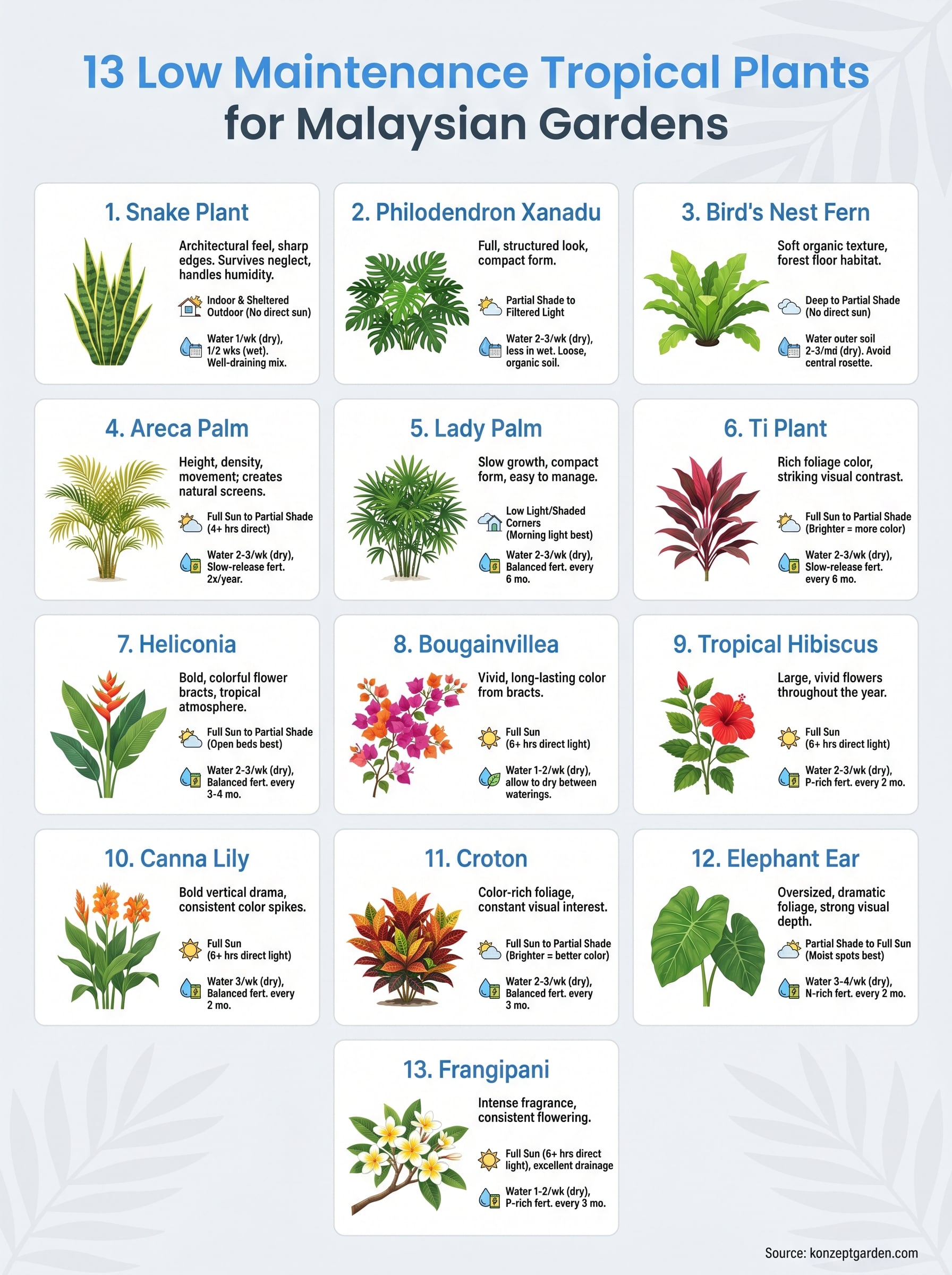 low maintenance tropical plants infographic