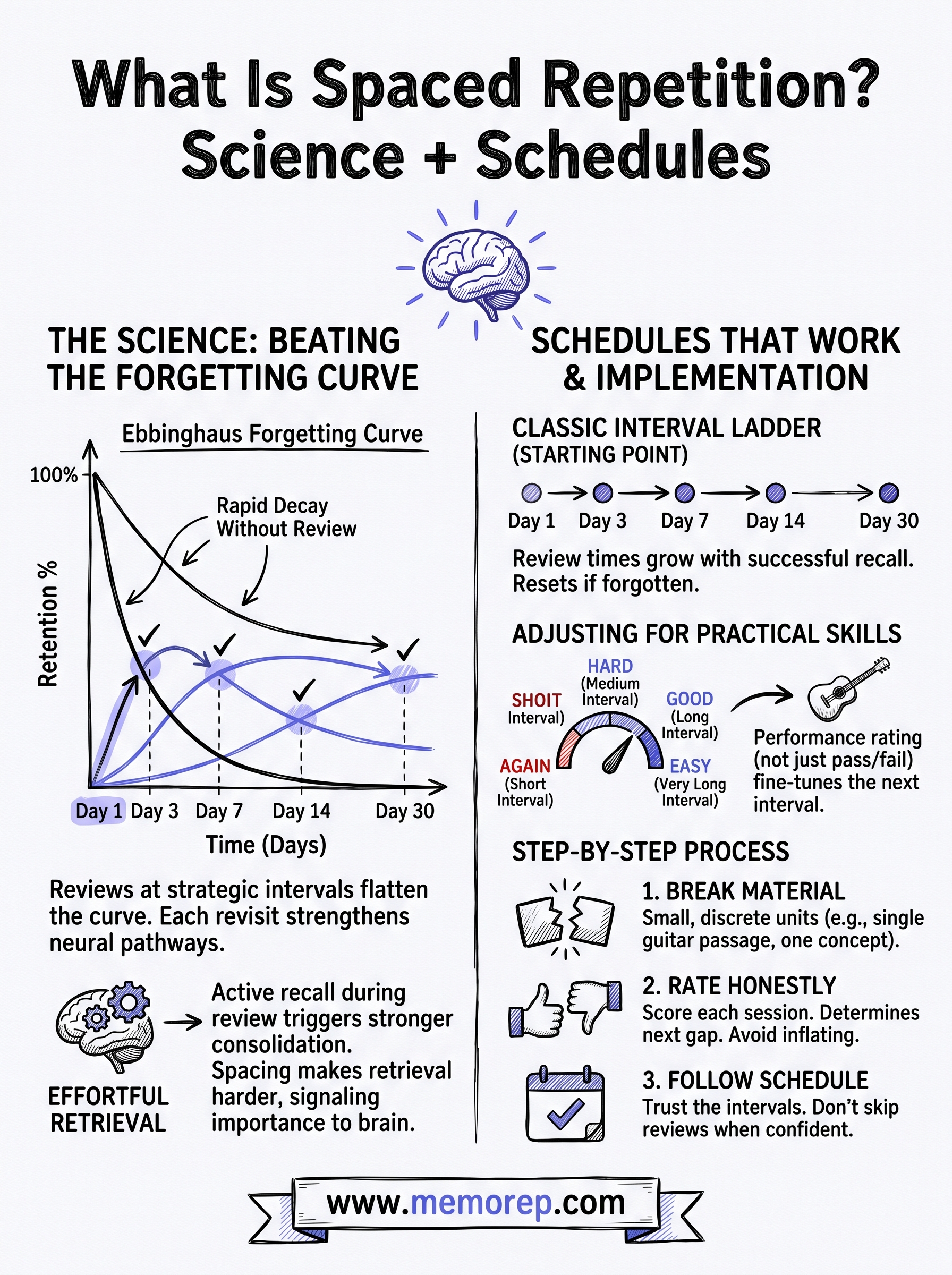 what is spaced repetition infographic