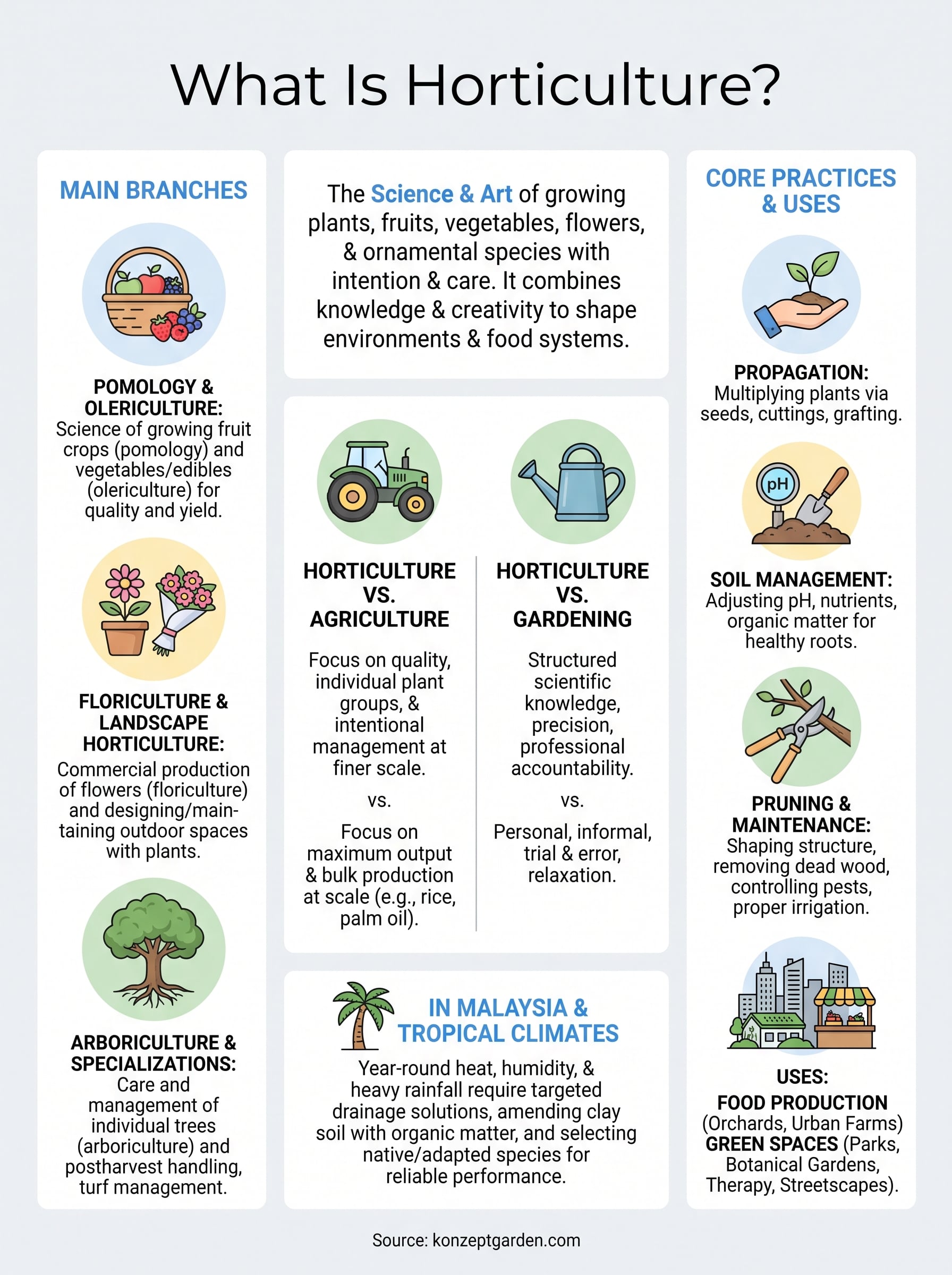 what is horticulture infographic
