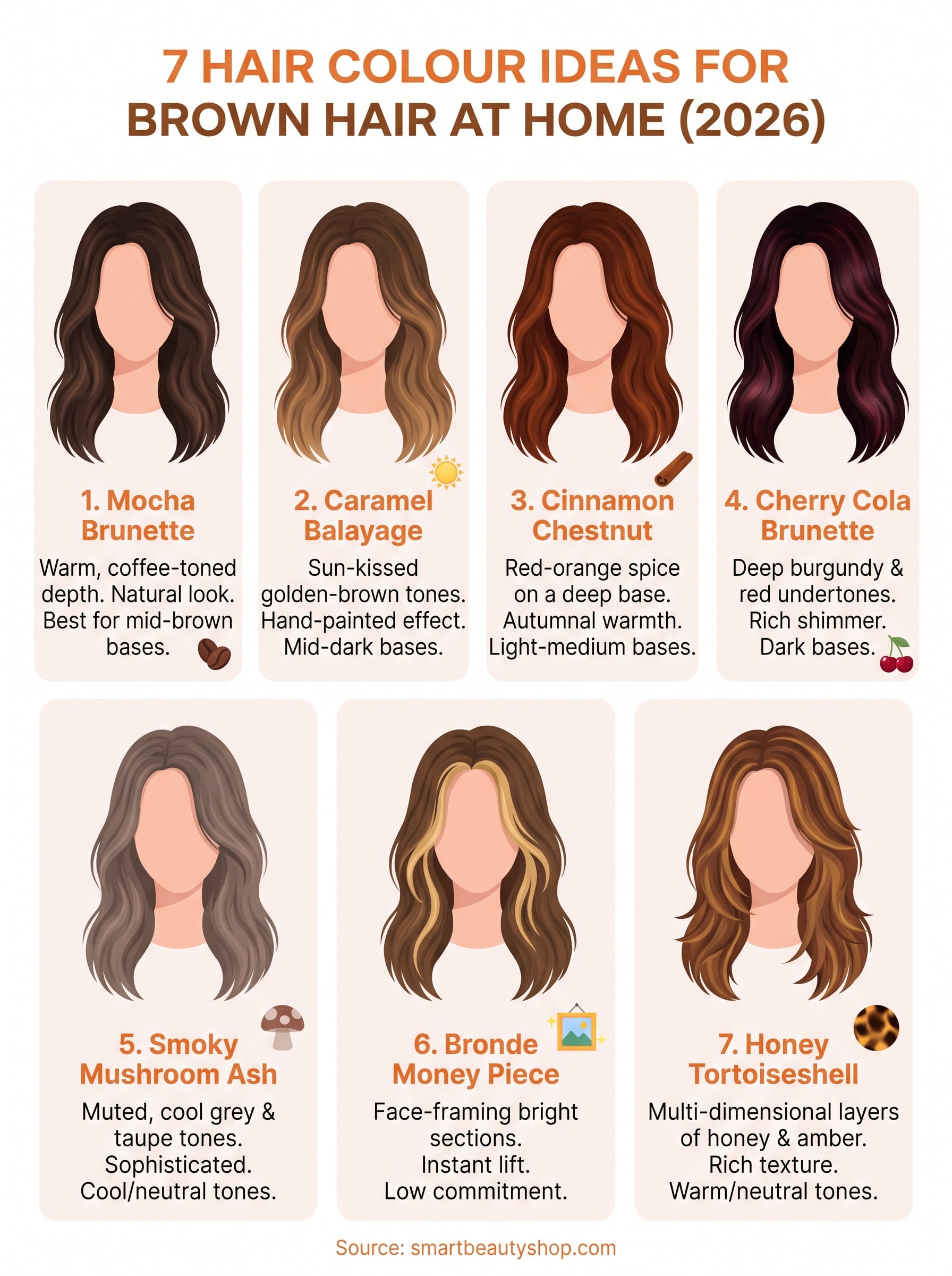 hair colour ideas for brown hair infographic