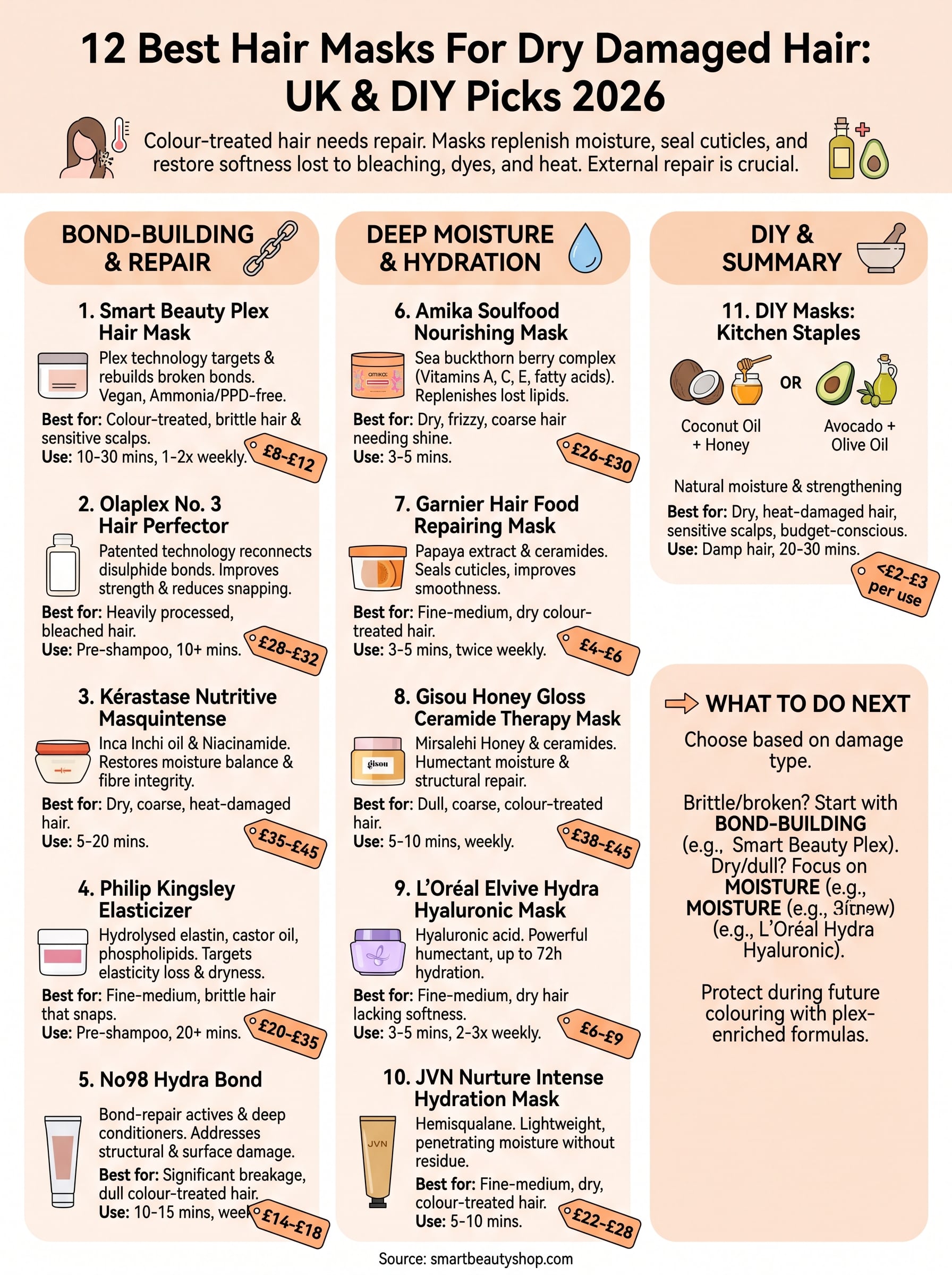 best hair masks for dry damaged hair infographic