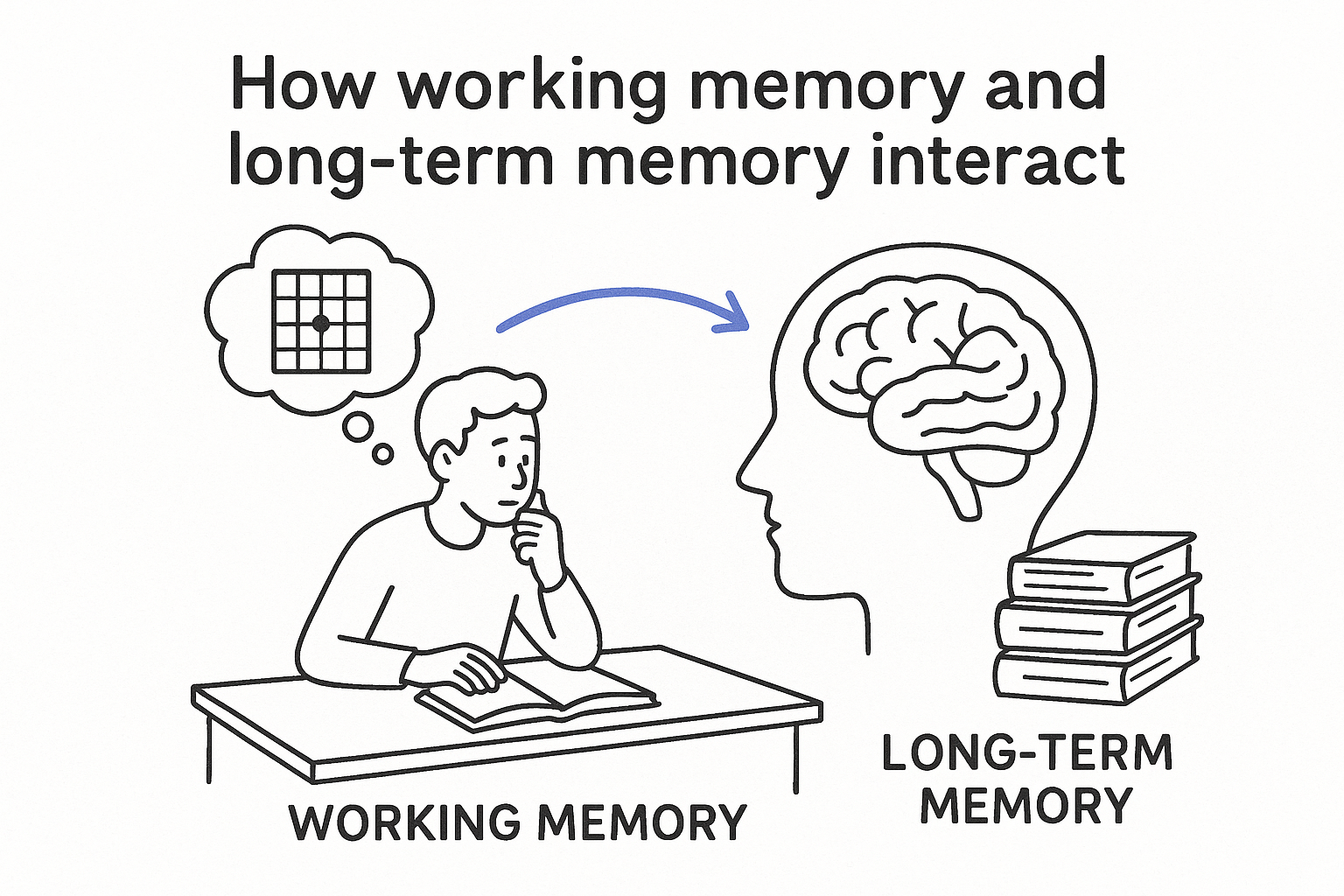 How working memory and long-term memory interact