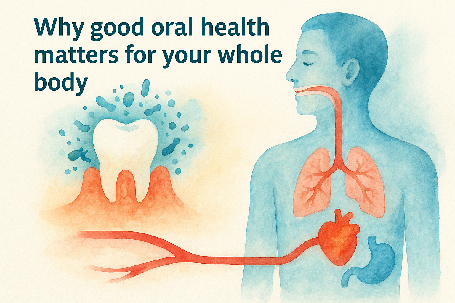 Why good oral health matters for your whole body