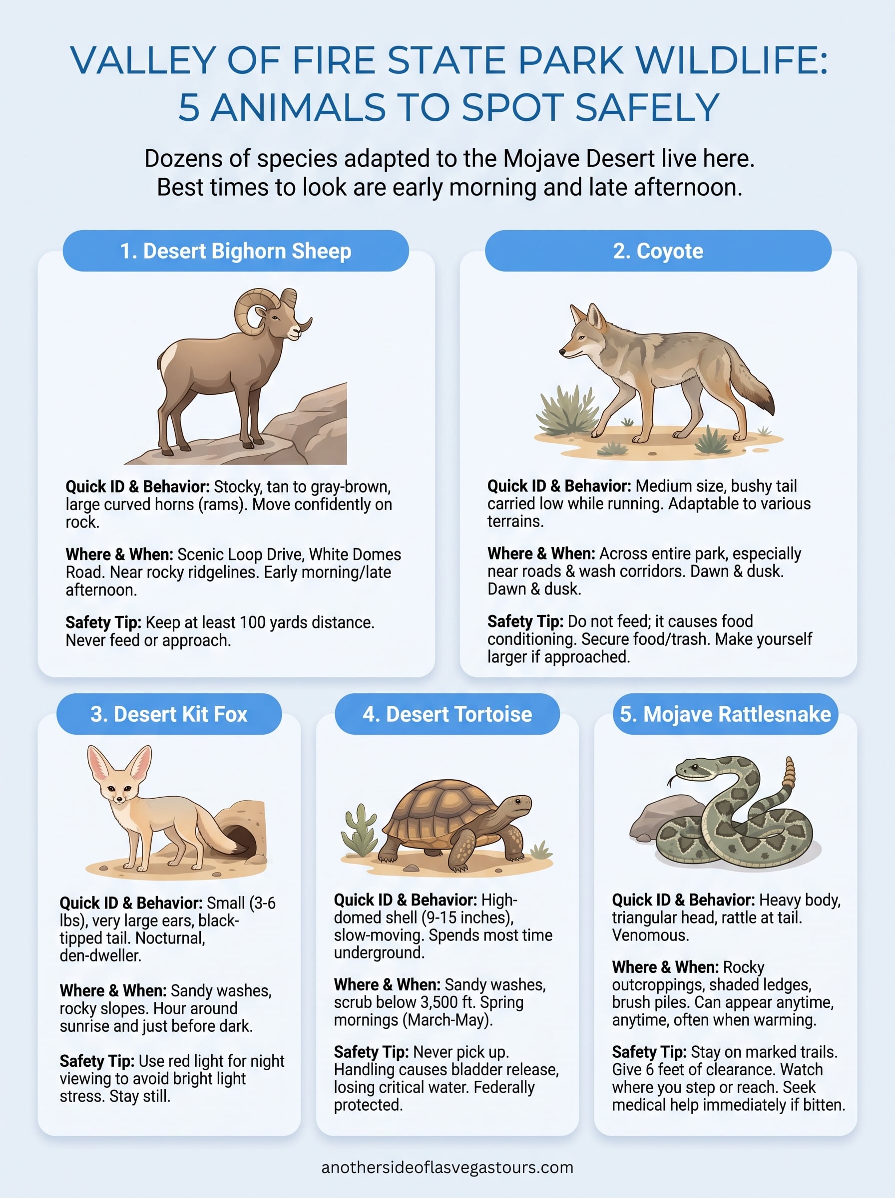 valley of fire state park wildlife infographic