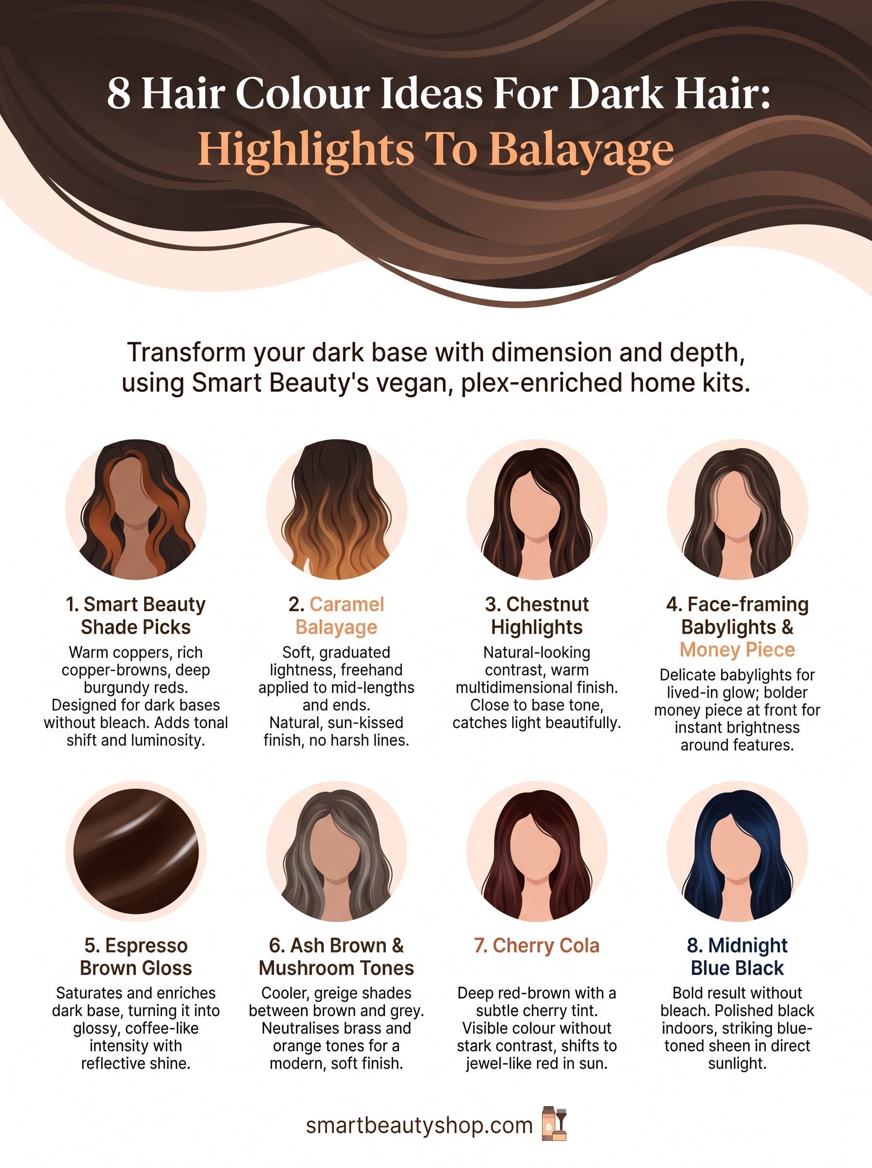 hair colour ideas for dark hair infographic