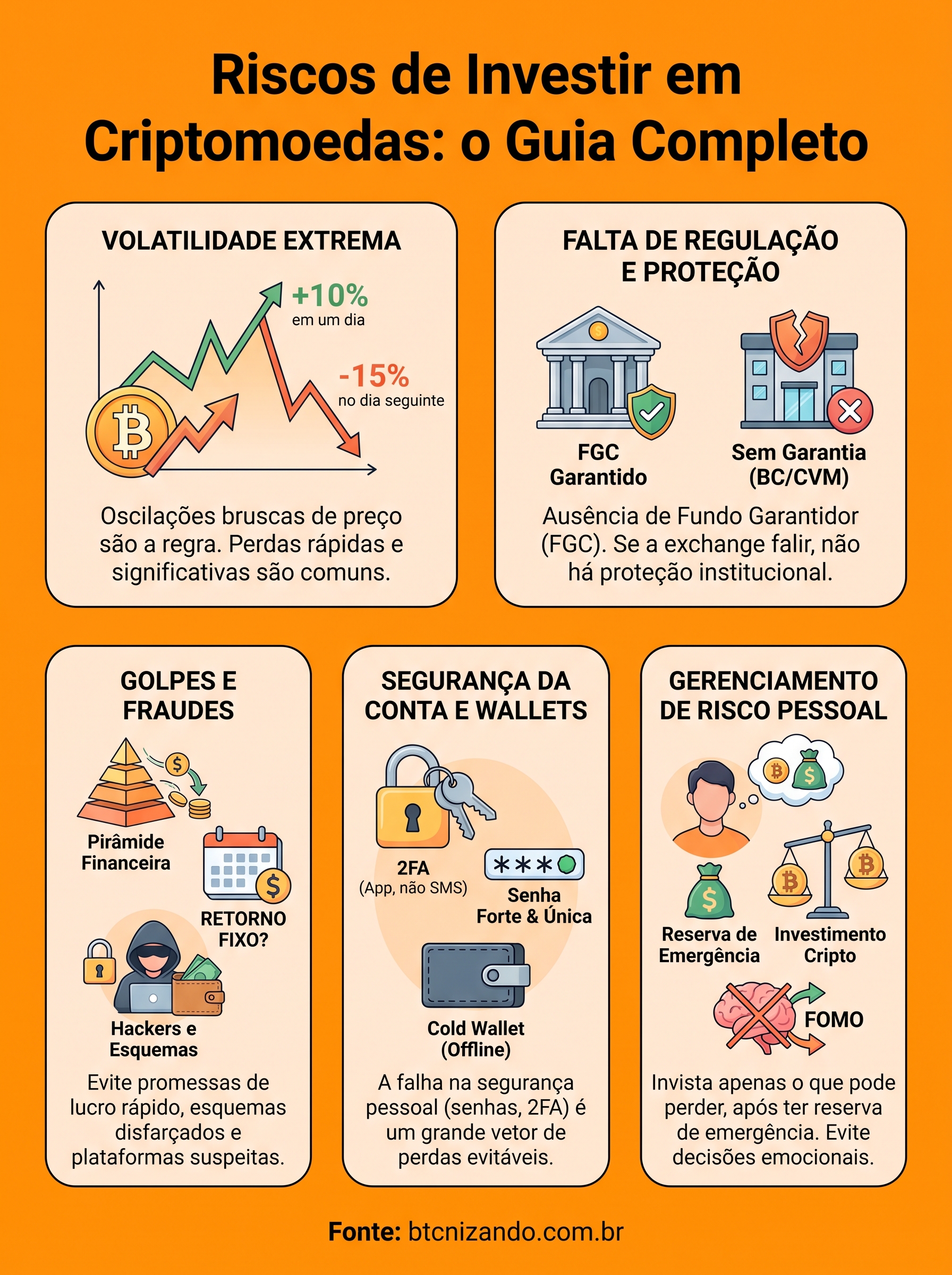 riscos de investir em criptomoedas infographic