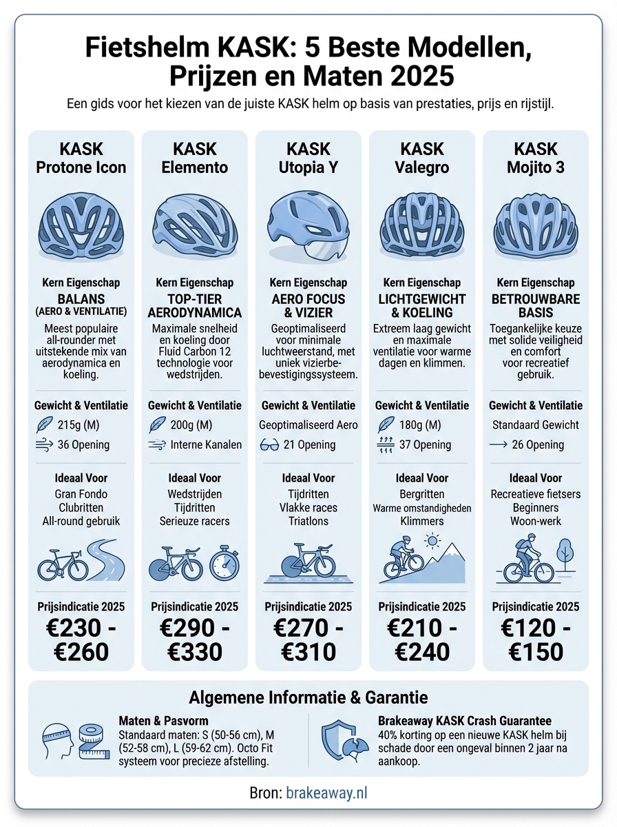 fietshelm kask infographic