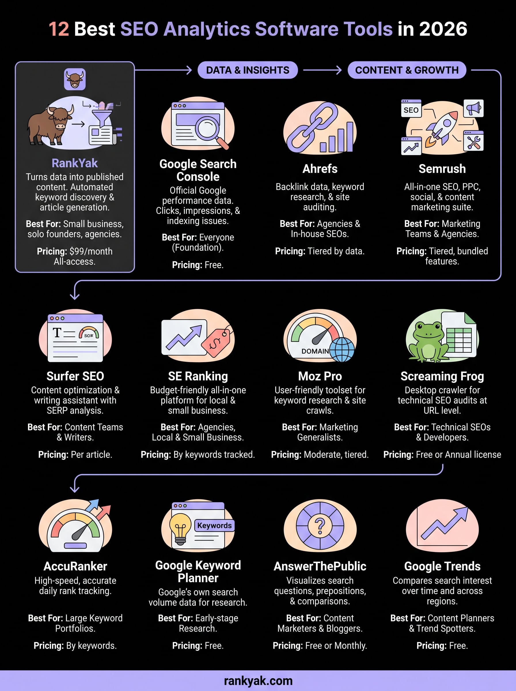 seo analytics software infographic