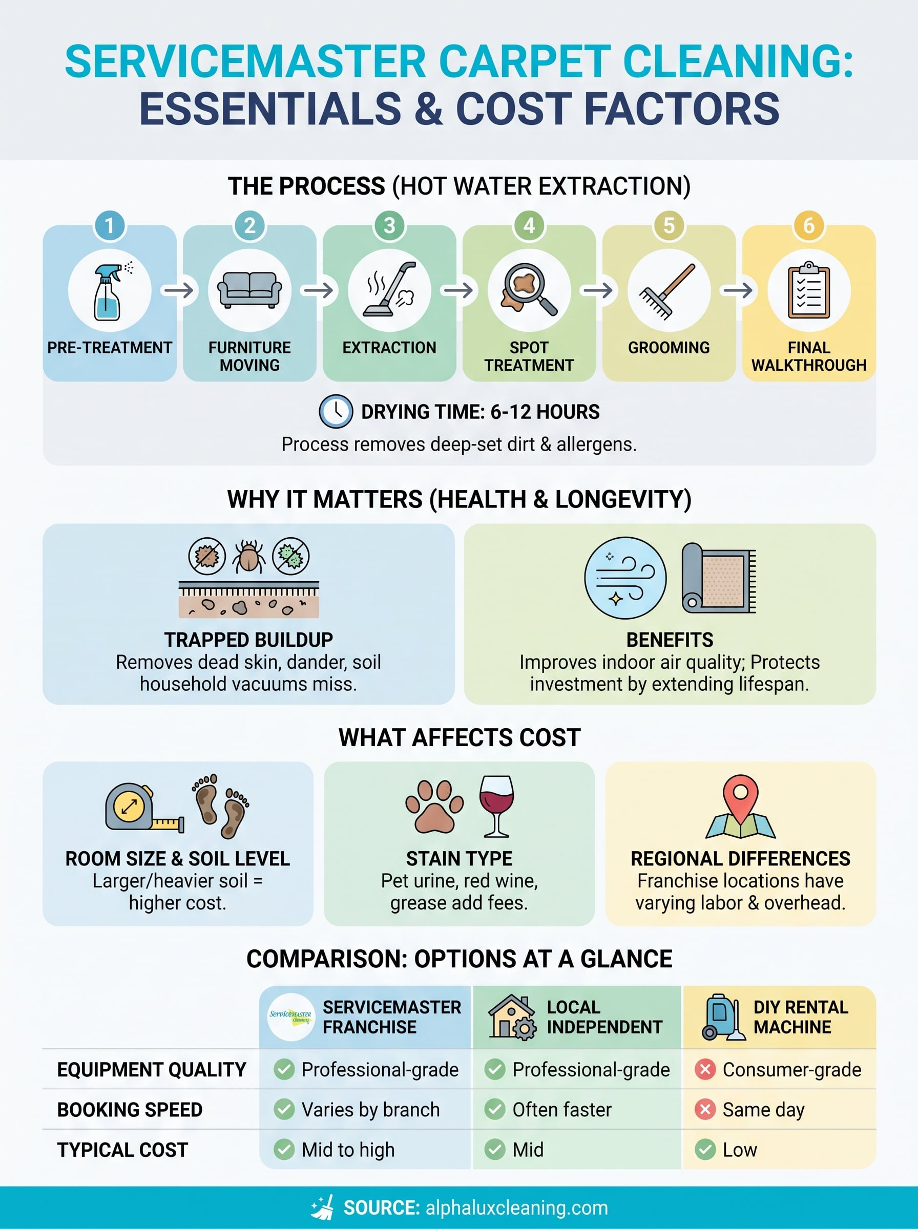 servicemaster carpet cleaning infographic