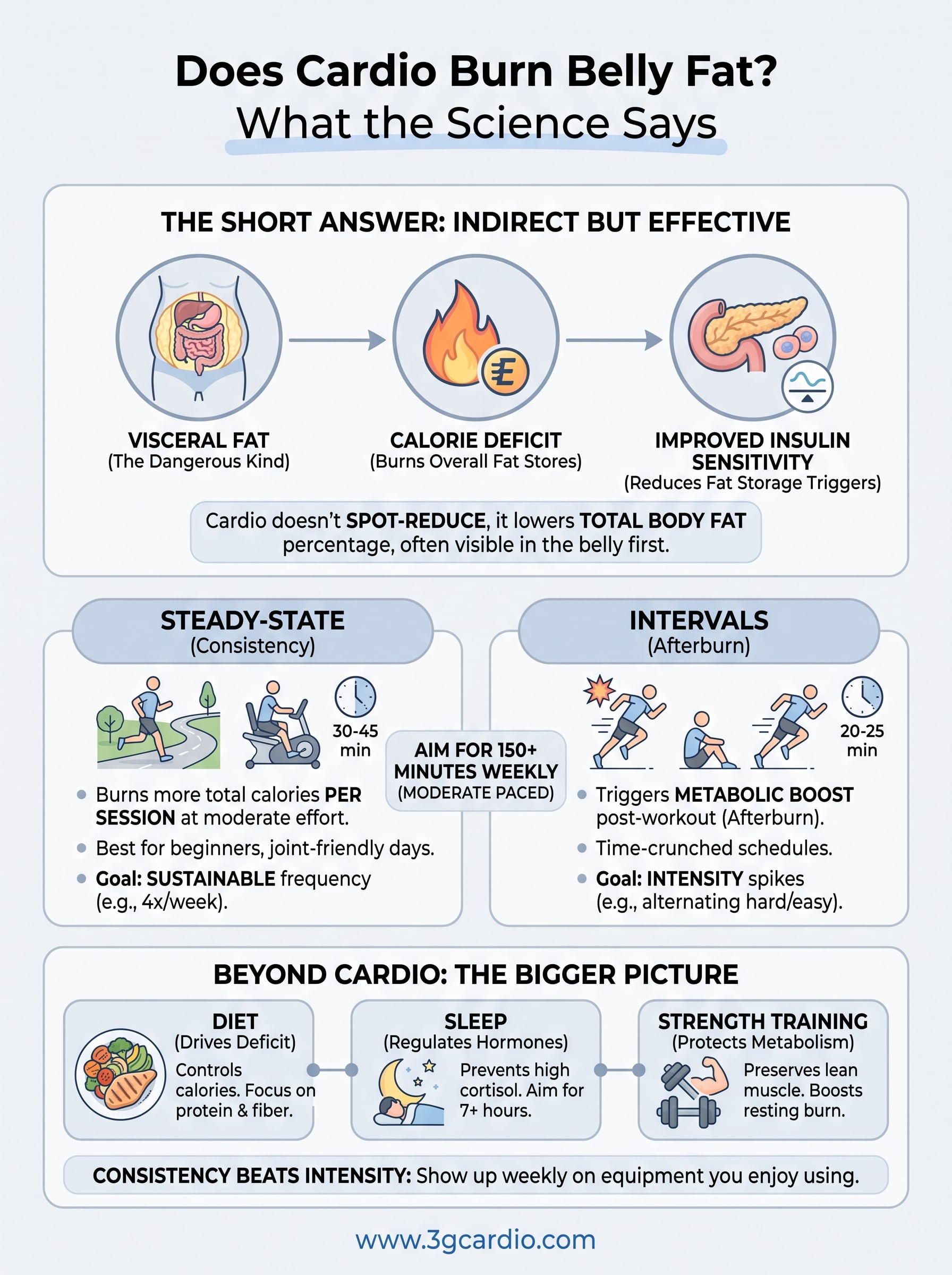does cardio burn belly fat infographic