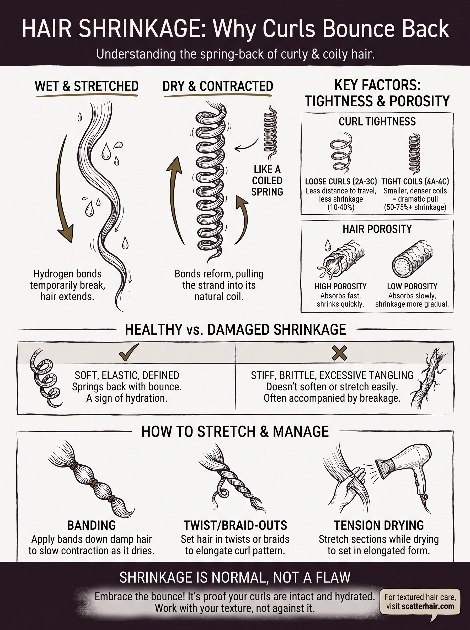 what is hair shrinkage infographic