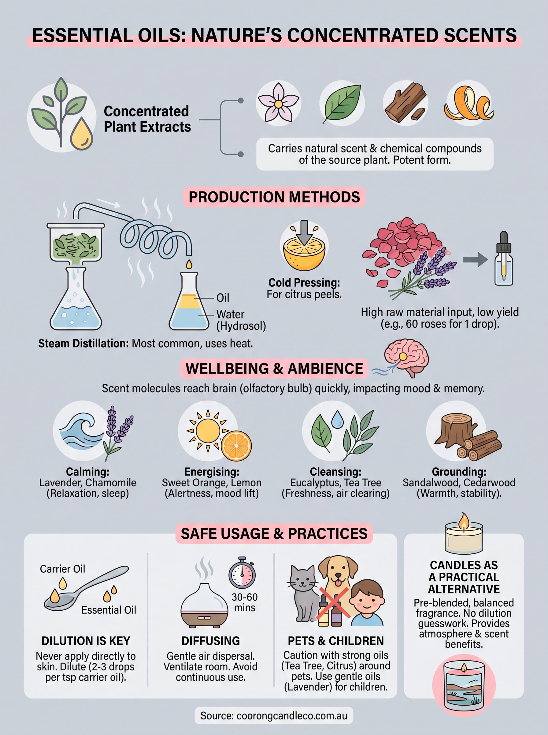 what are essential oils infographic