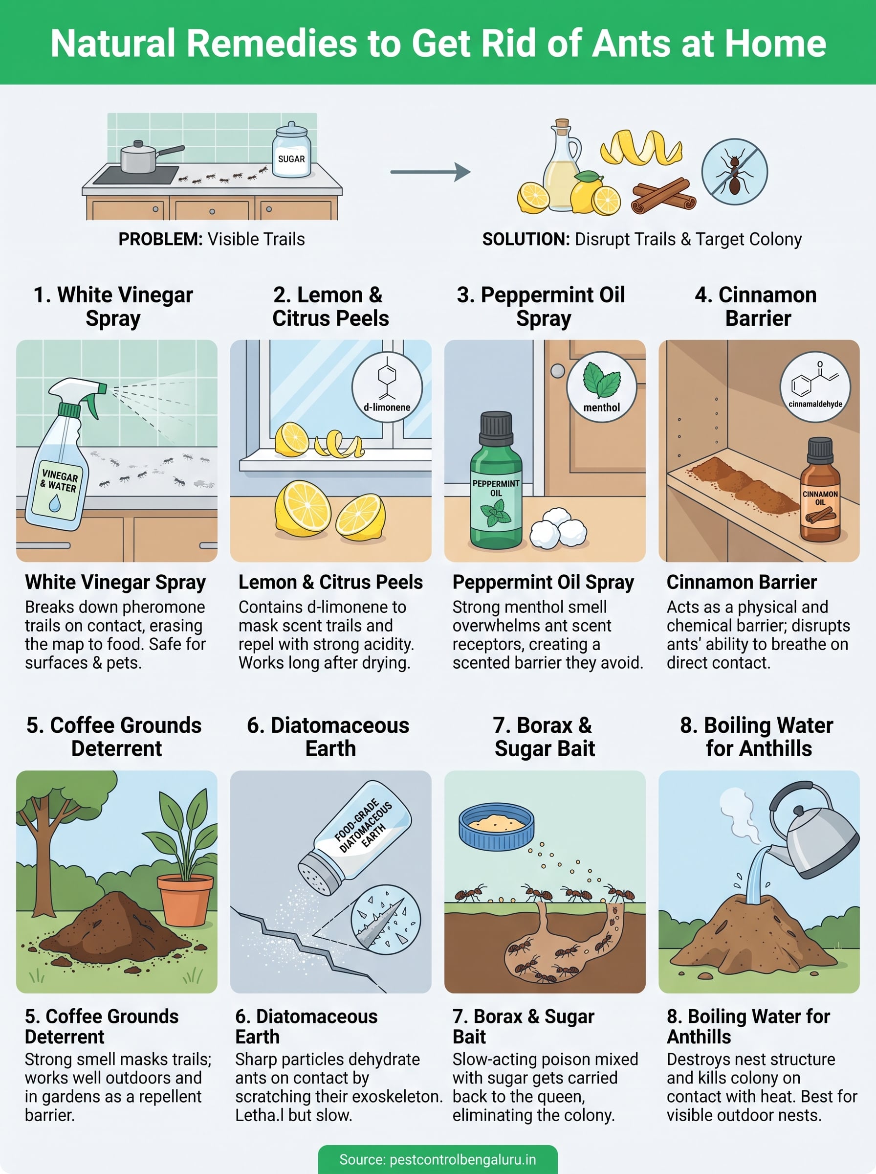 How to Get Rid of Ants at Home: 8 Natural Remedies 3 how to get rid of ants at home infographic