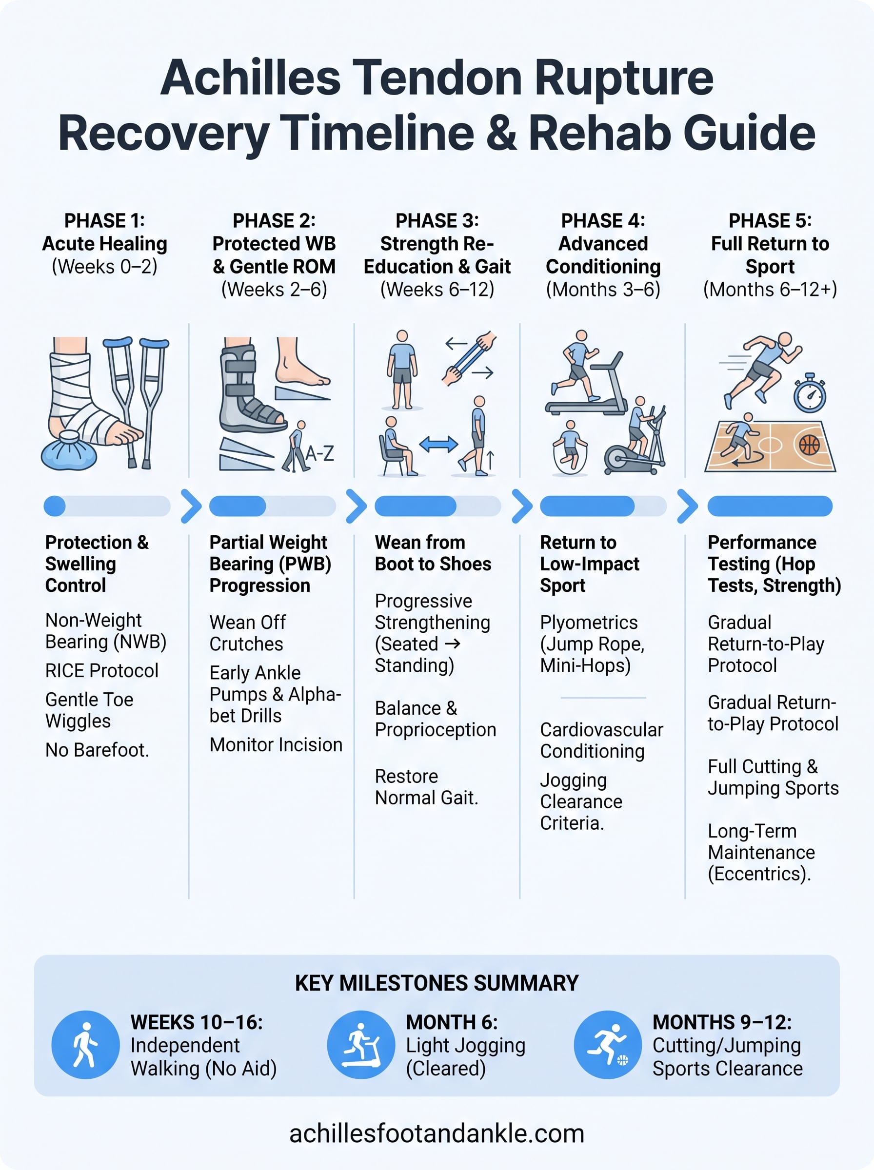 achilles tendon rupture recovery infographic