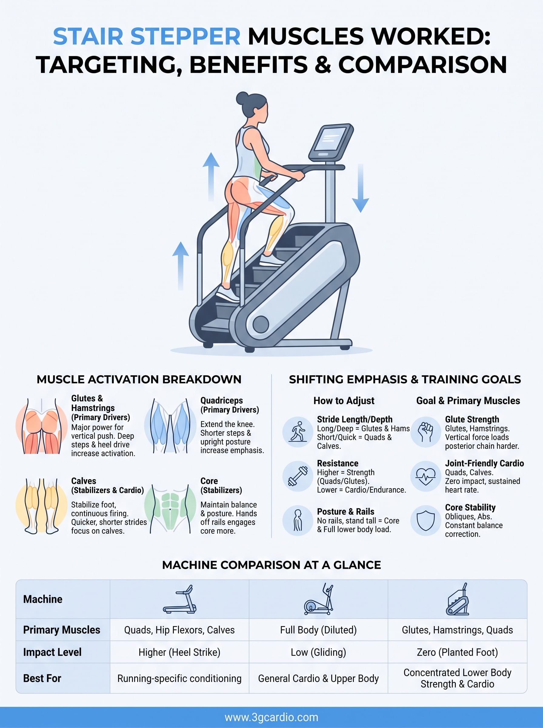 stair stepper muscles worked infographic