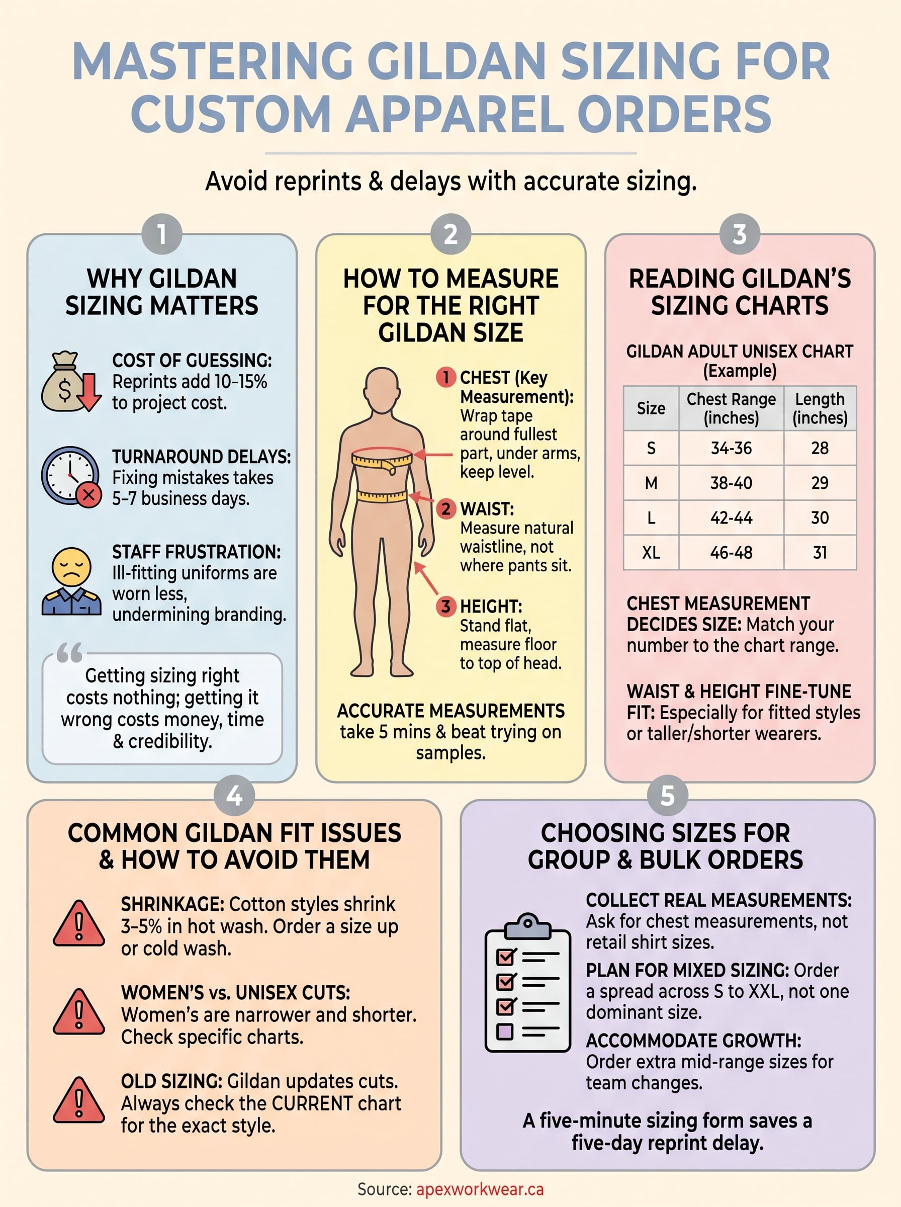 gildan size chart infographic