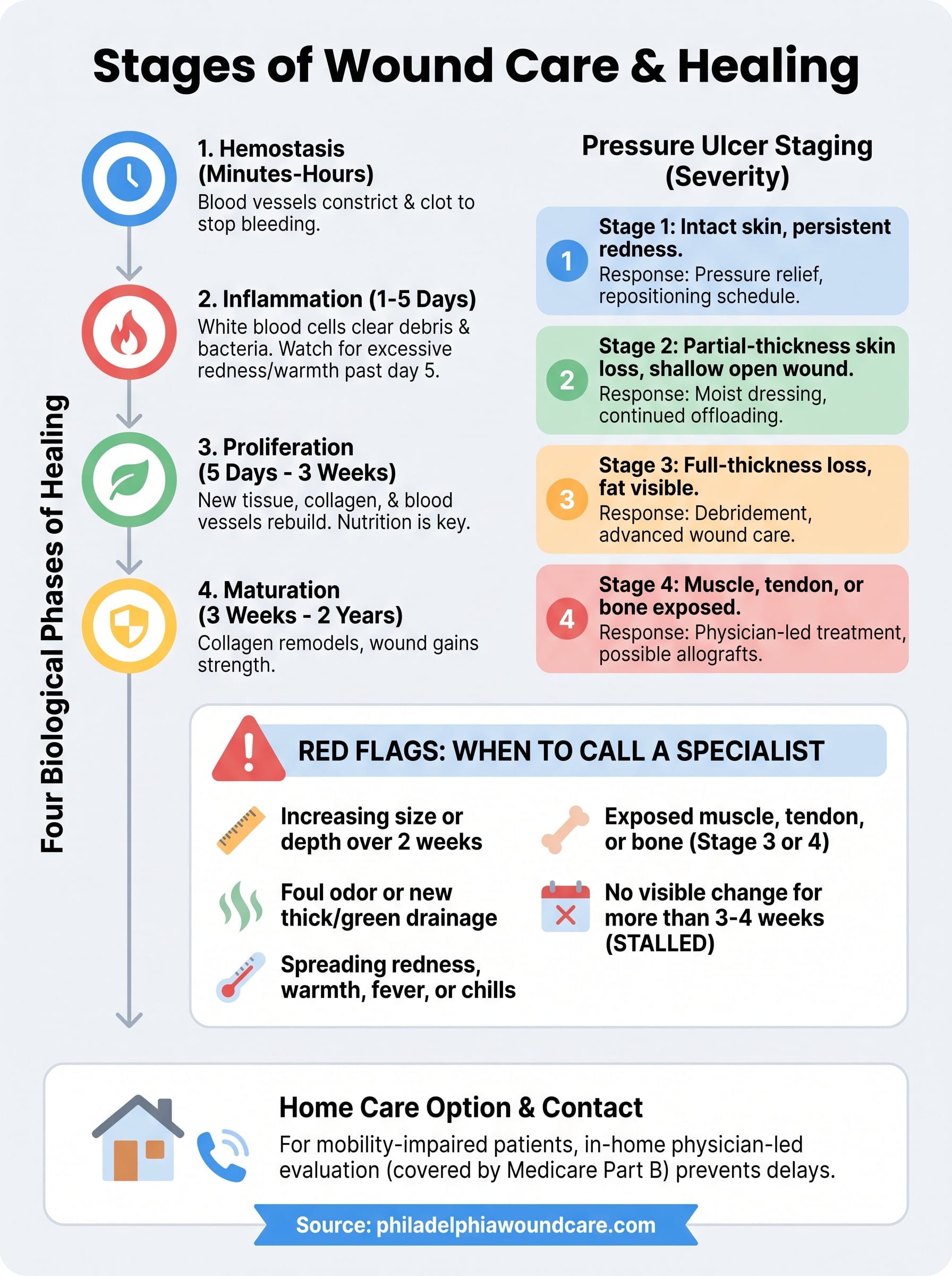 type of stages of wound care infographic