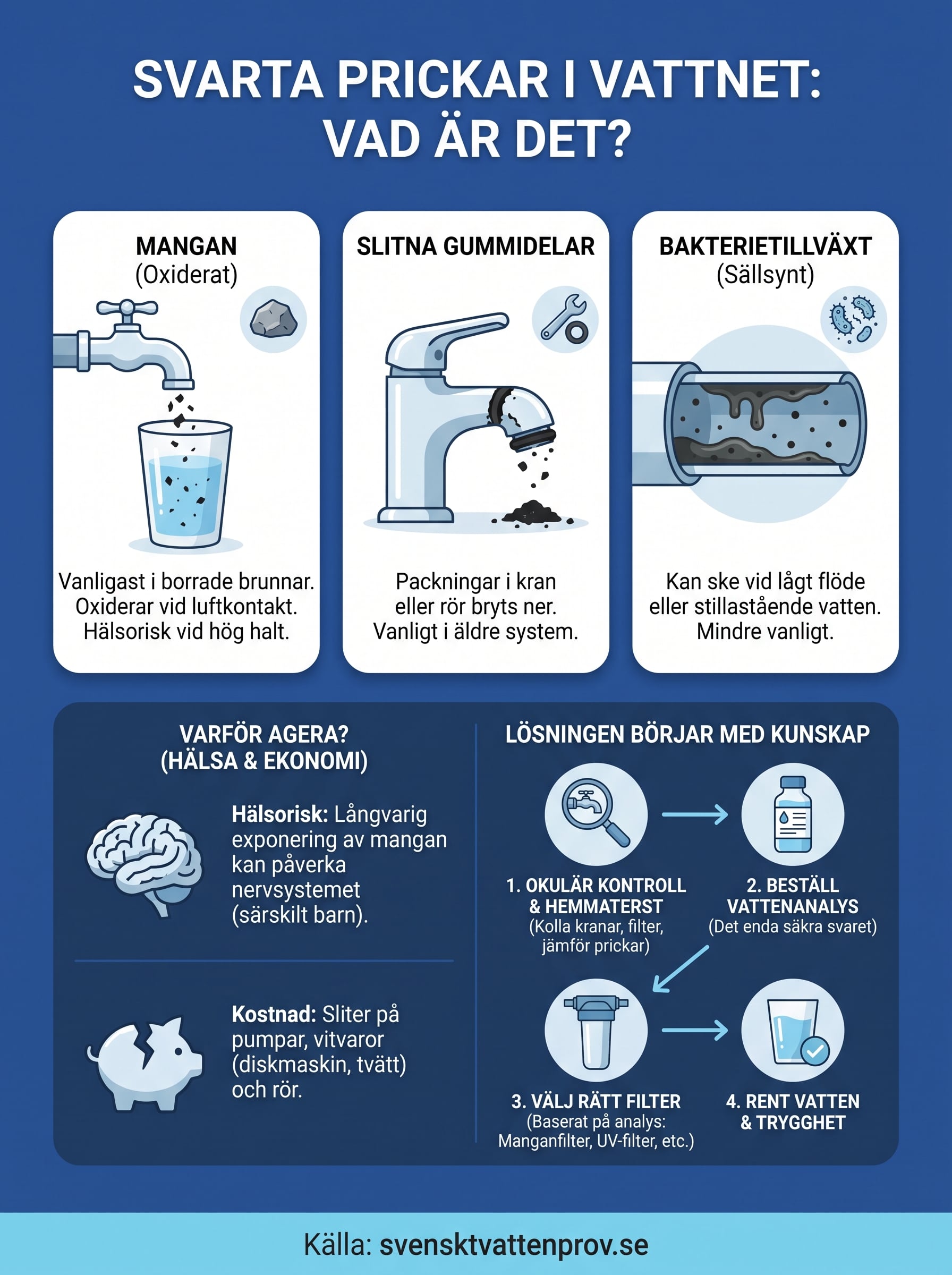 vad är de svarta prickarna i mitt vatten? infographic