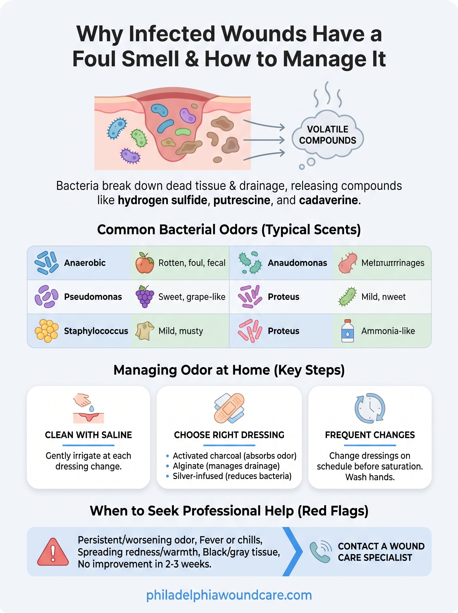 why does infection stink infographic