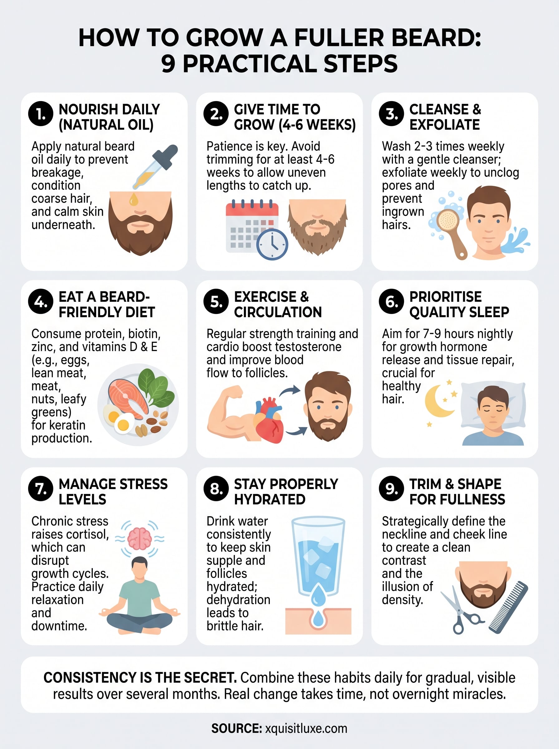 how to grow a fuller beard infographic