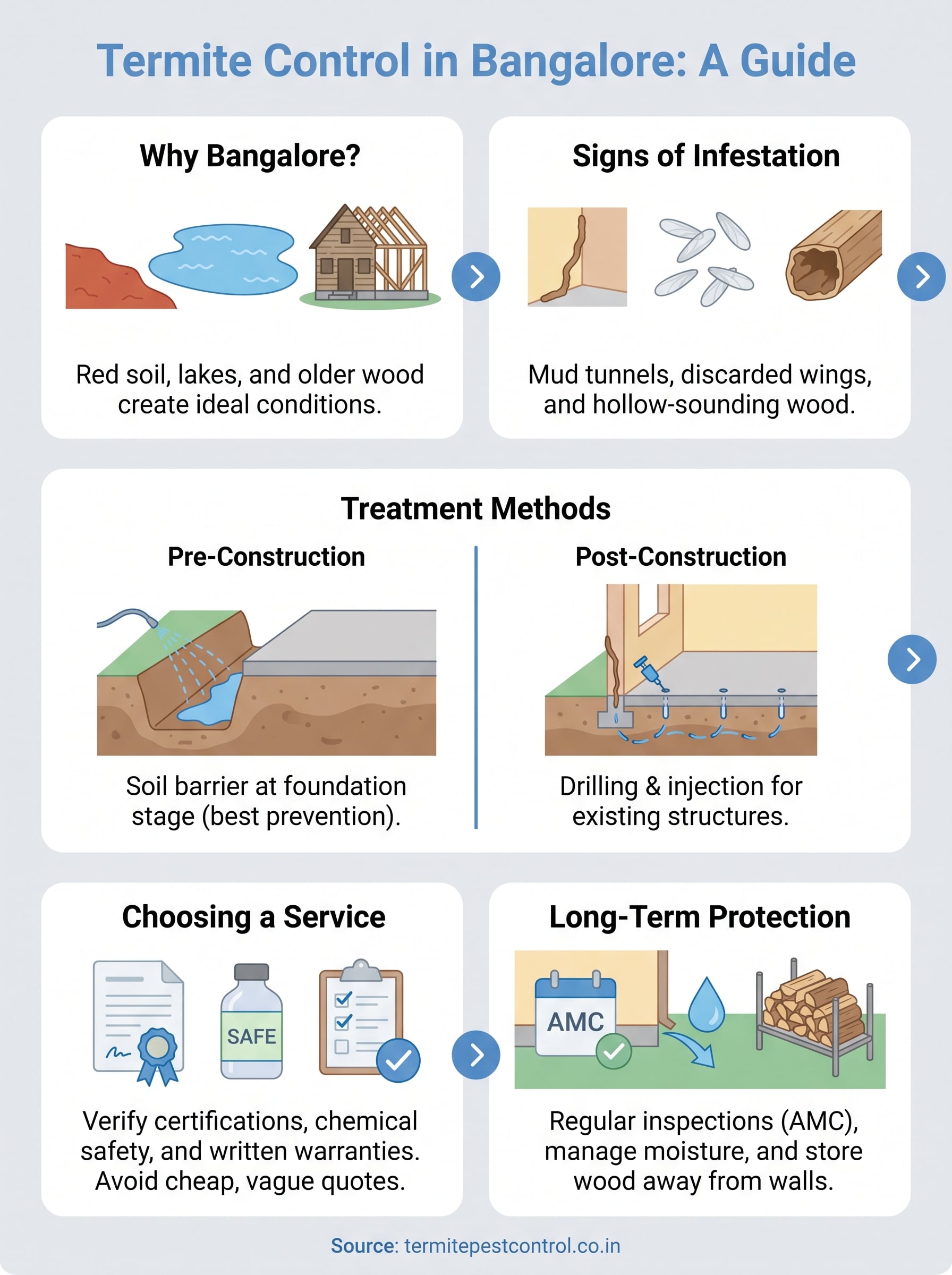 termite control in bangalore infographic