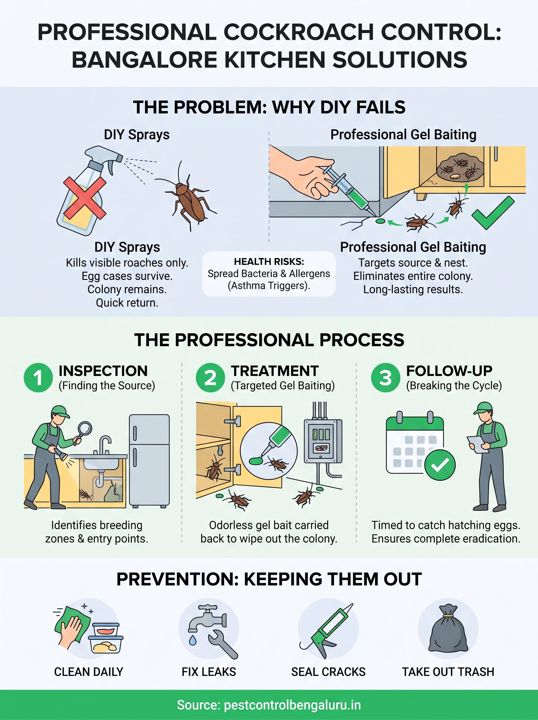 Cockroach Control Service in Bangalore: What It Is and What to Expect 3 cockroach control service bangalore infographic