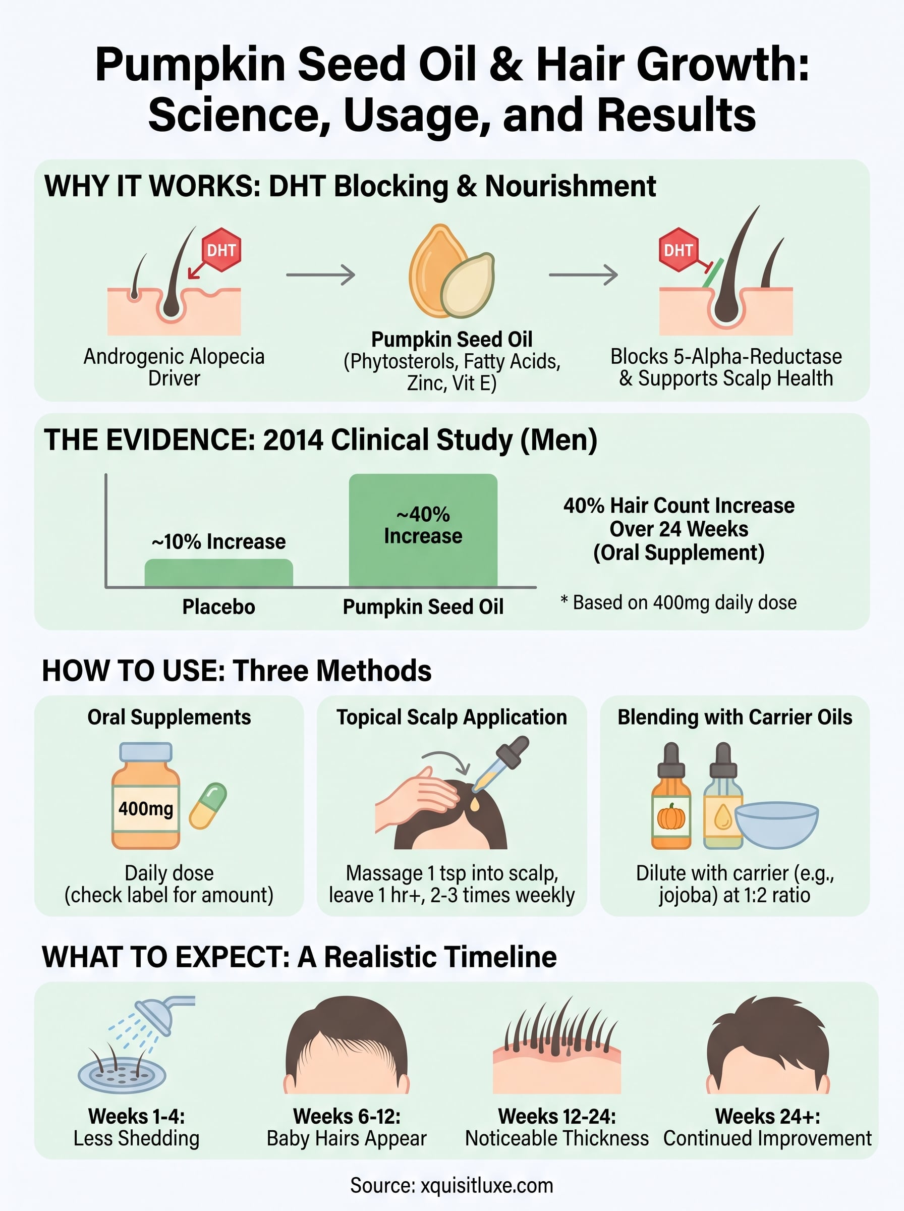 pumpkin oil and hair growth infographic