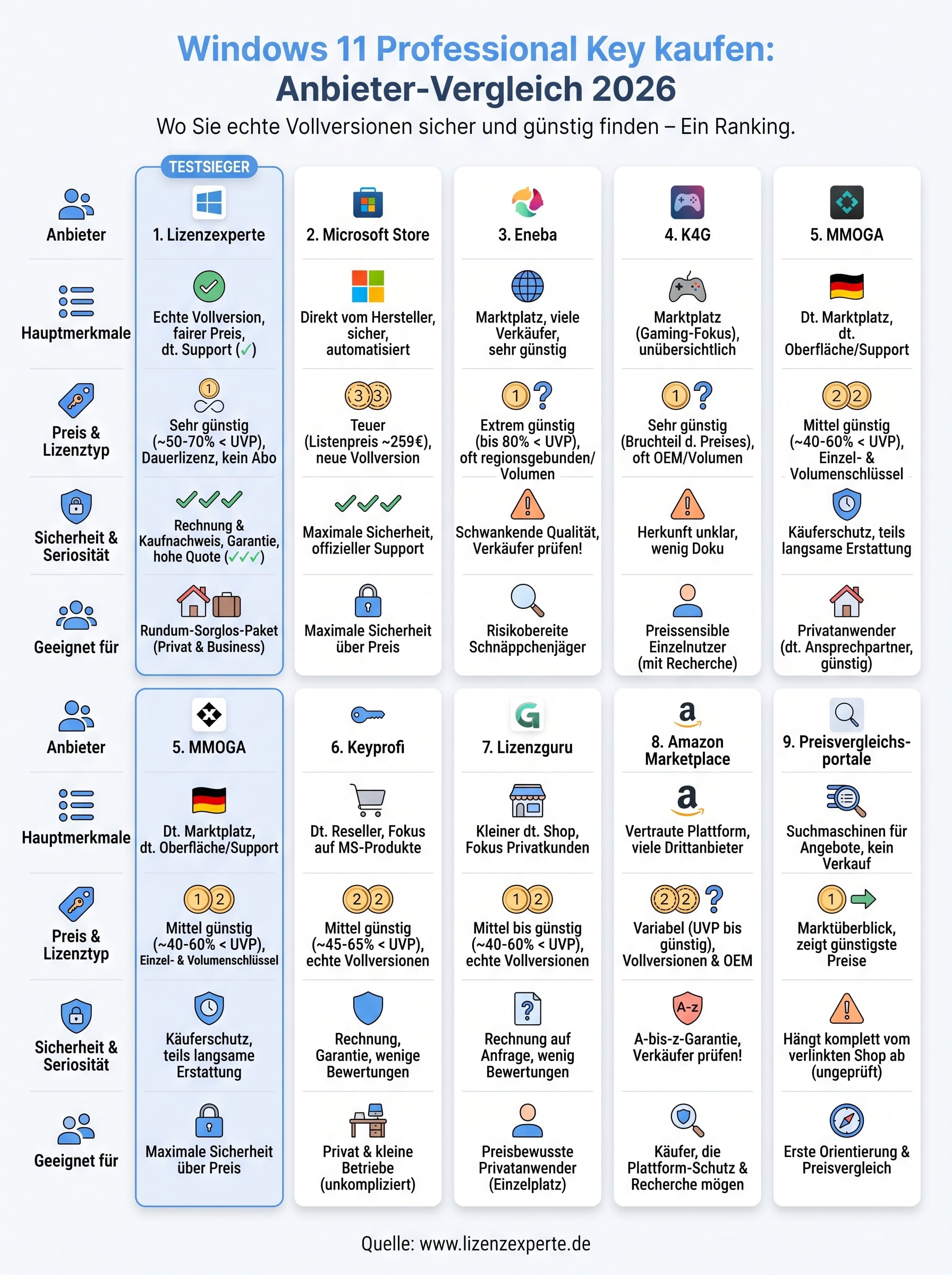 windows 11 professional key kaufen infographic