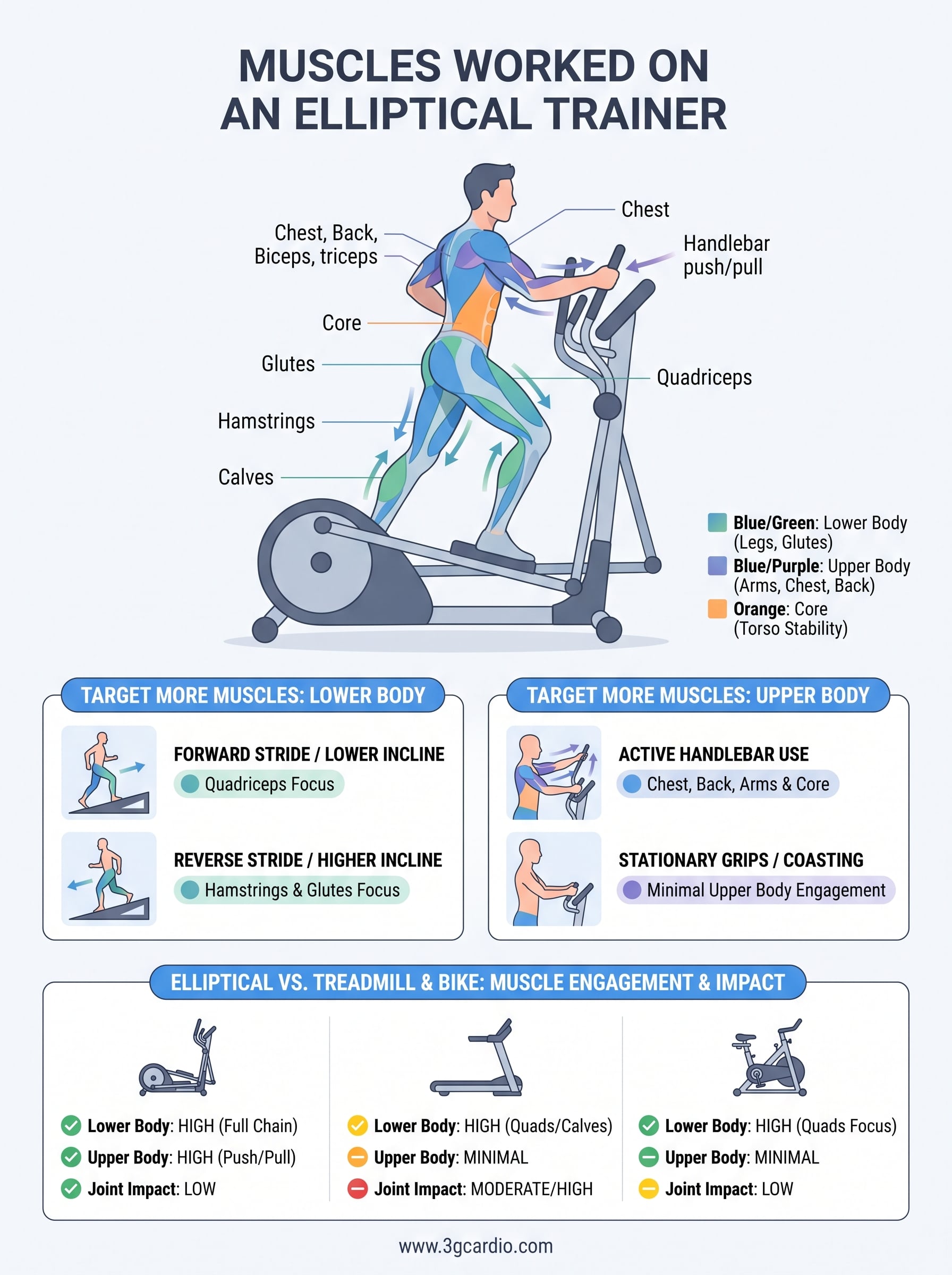 what muscles does an elliptical trainer work infographic
