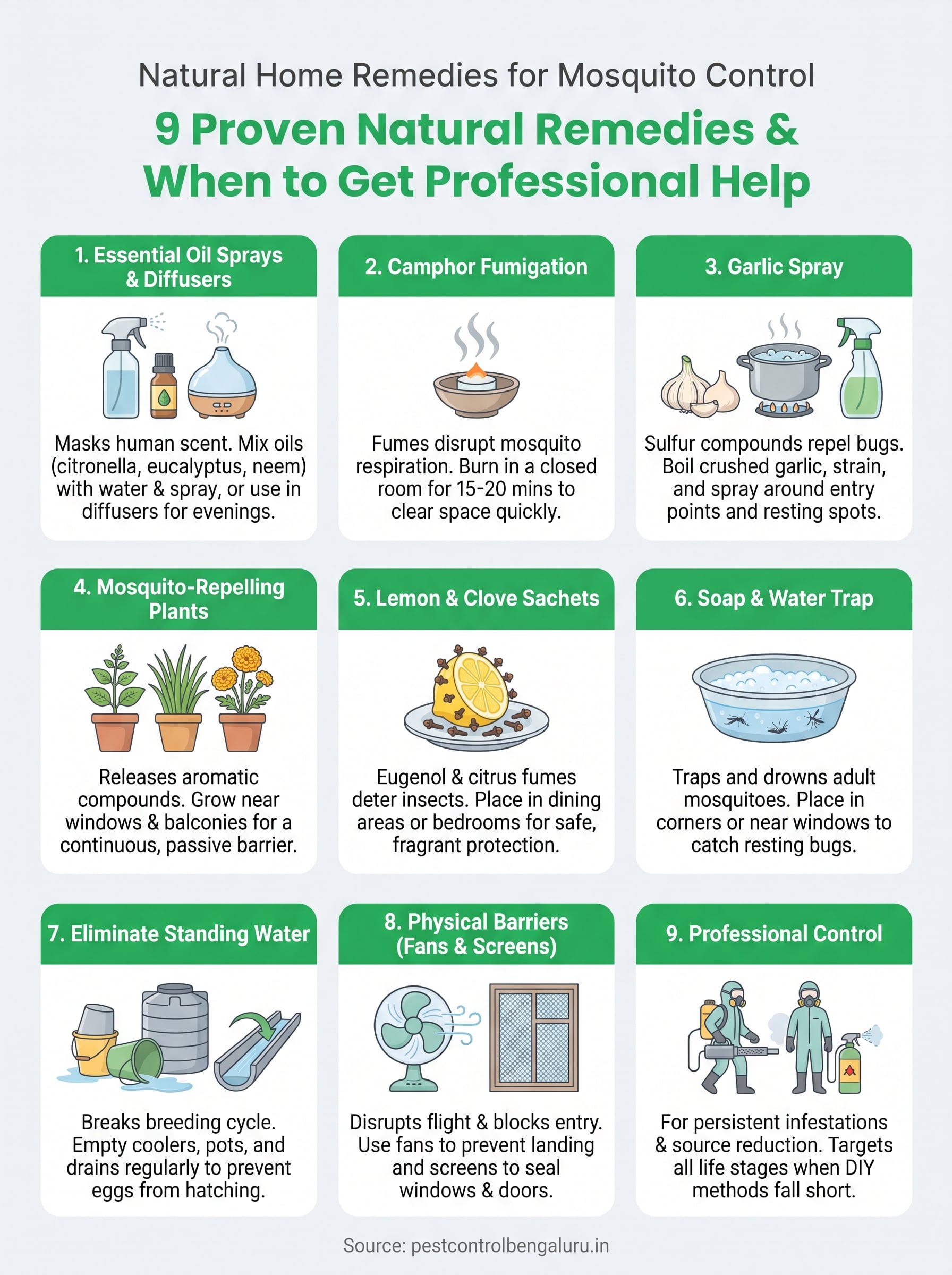home remedies for mosquito infographic