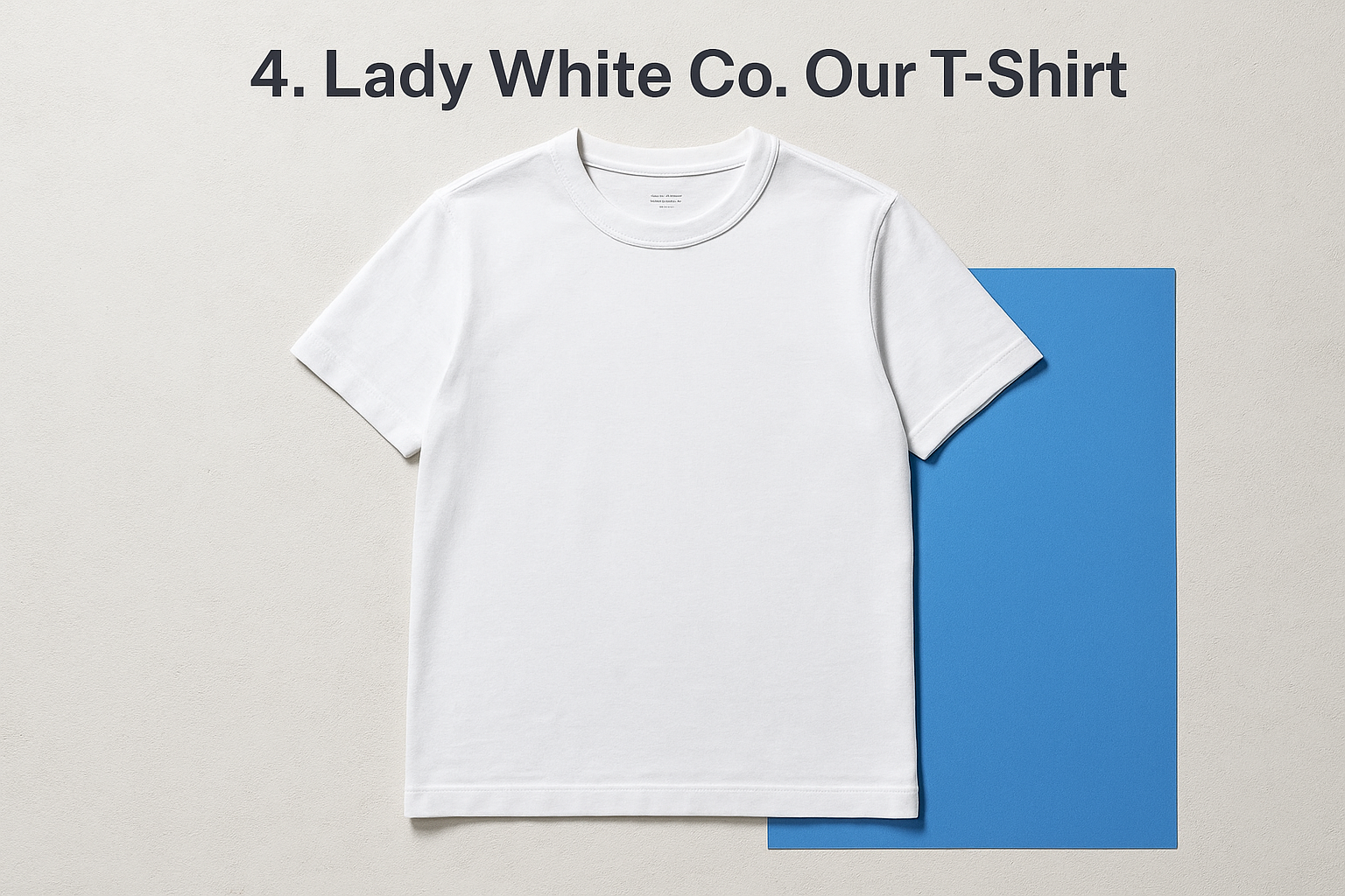 4. Lady White Co. Our T-Shirt