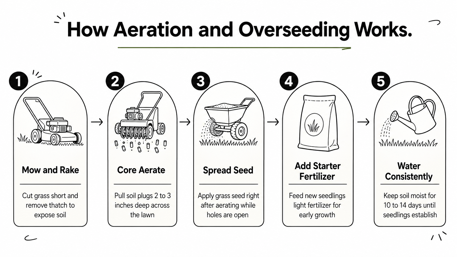 Five-step infographic showing the aeration and overseeding process from mowing to watering.