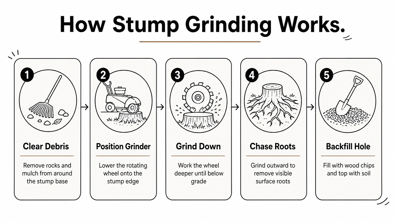 A five-step infographic showing the stump grinding process from clearing debris to backfilling the hole.