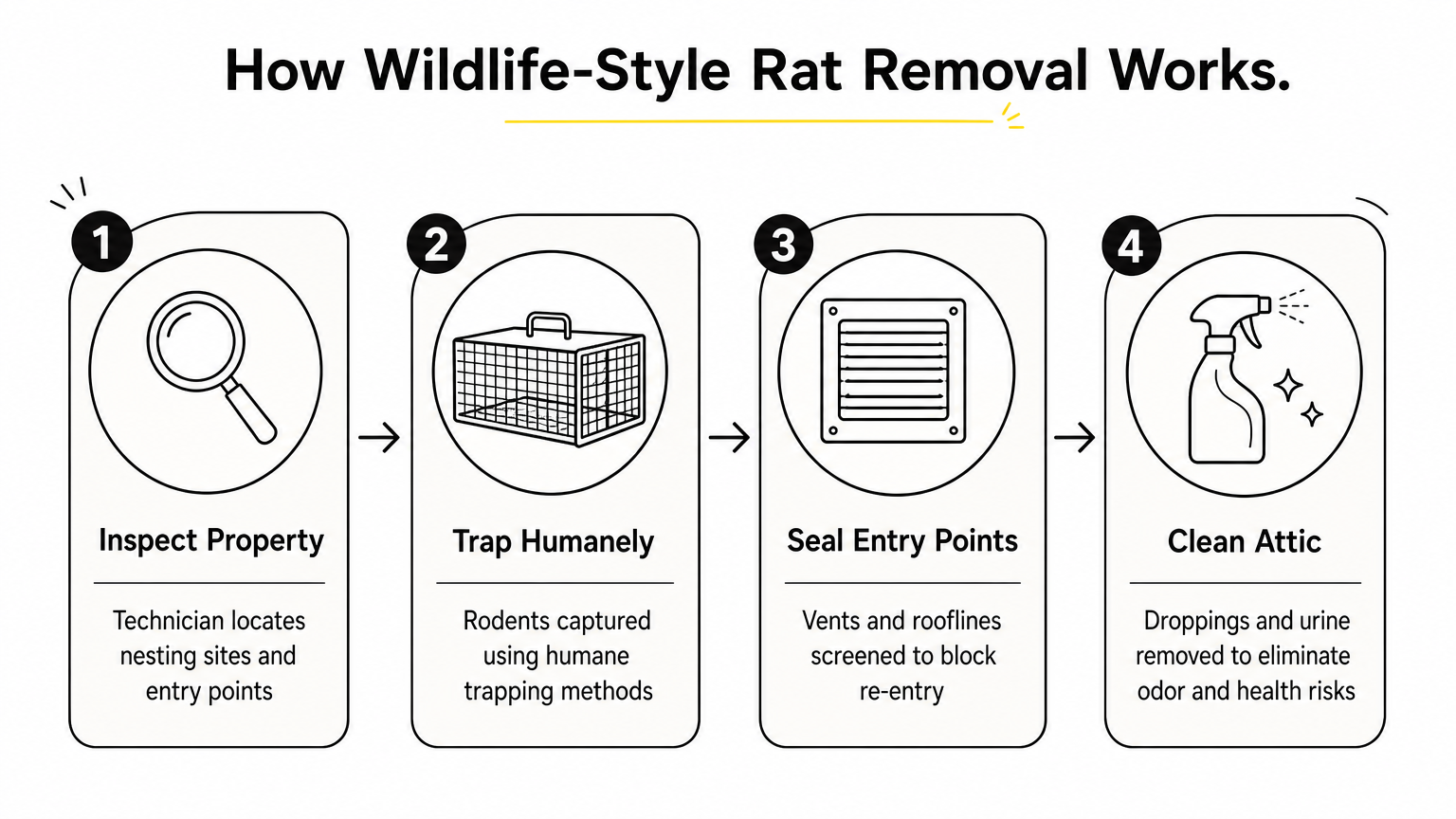A four-step process diagram showing inspection, trapping, sealing, and attic cleanup for rat removal.