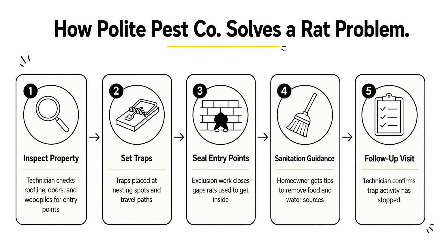 Infographic showing the four-step process Polite Pest Co. uses to inspect, trap, seal, and follow up on a rat problem.