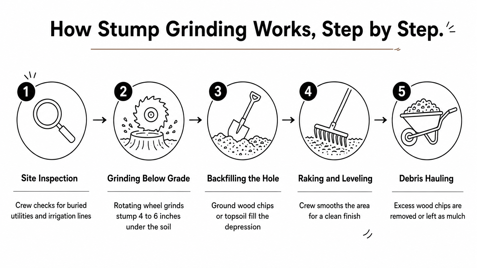 A five-step infographic showing the stump grinding process from inspection to debris hauling.