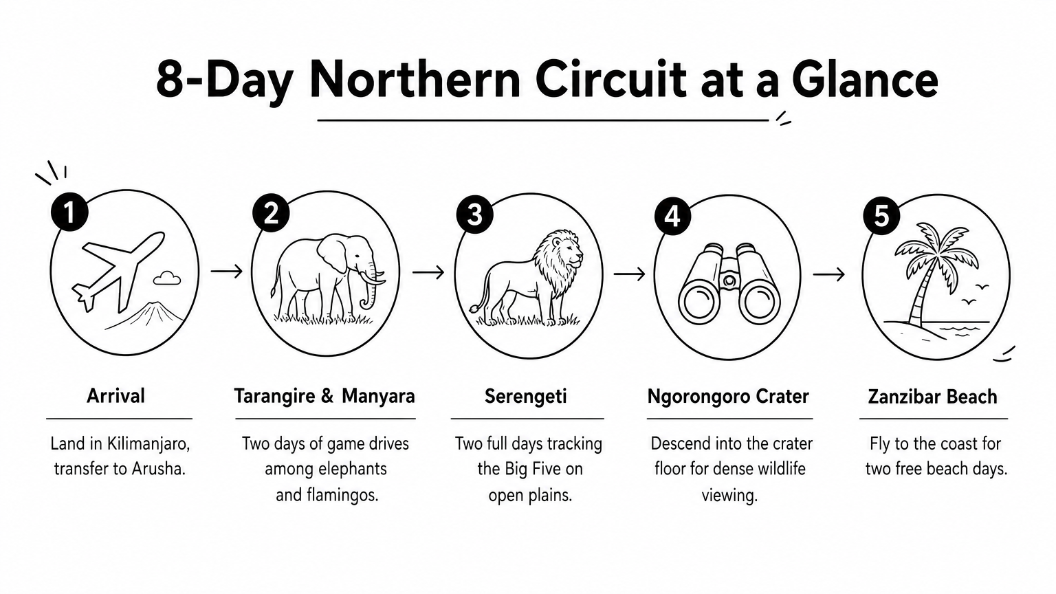 A five-step infographic outlining the 8-day northern circuit safari and Zanzibar beach itinerary.