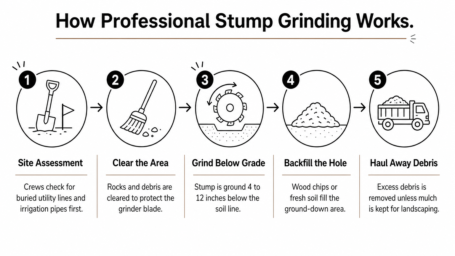 A five-step infographic showing the stump grinding process from site assessment to debris removal.