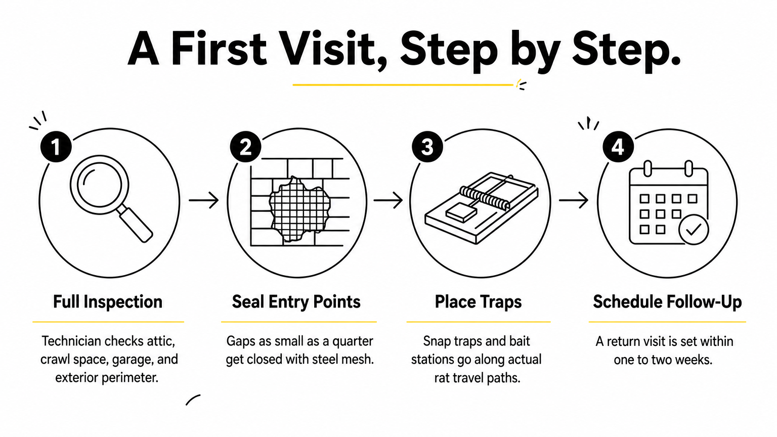 A four-step infographic showing inspection, sealing, trap placement, and scheduling a follow-up visit.